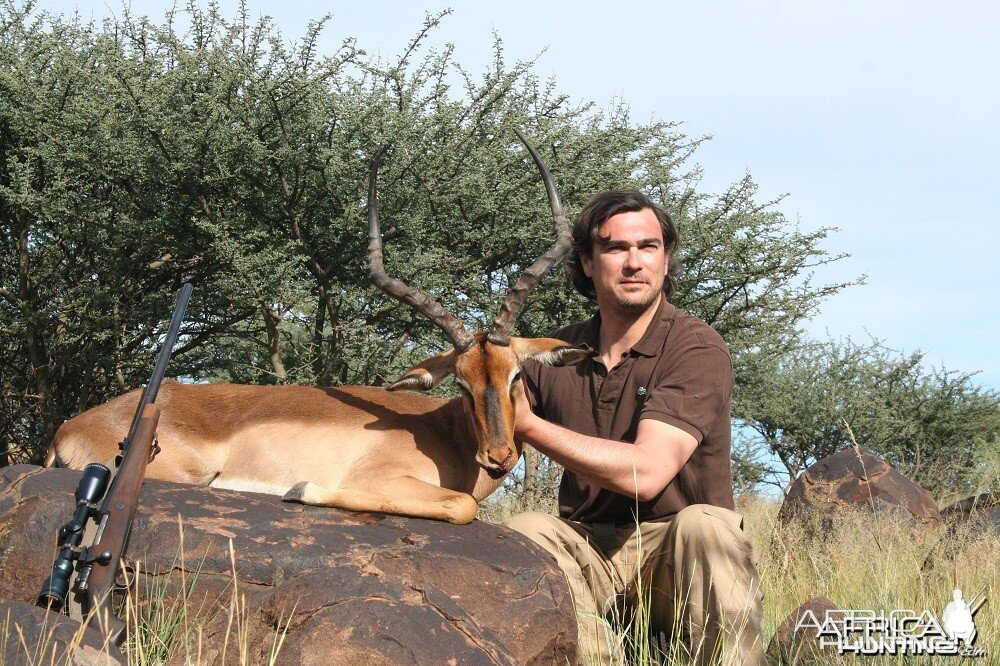 Nice Impala hunted in South Africa