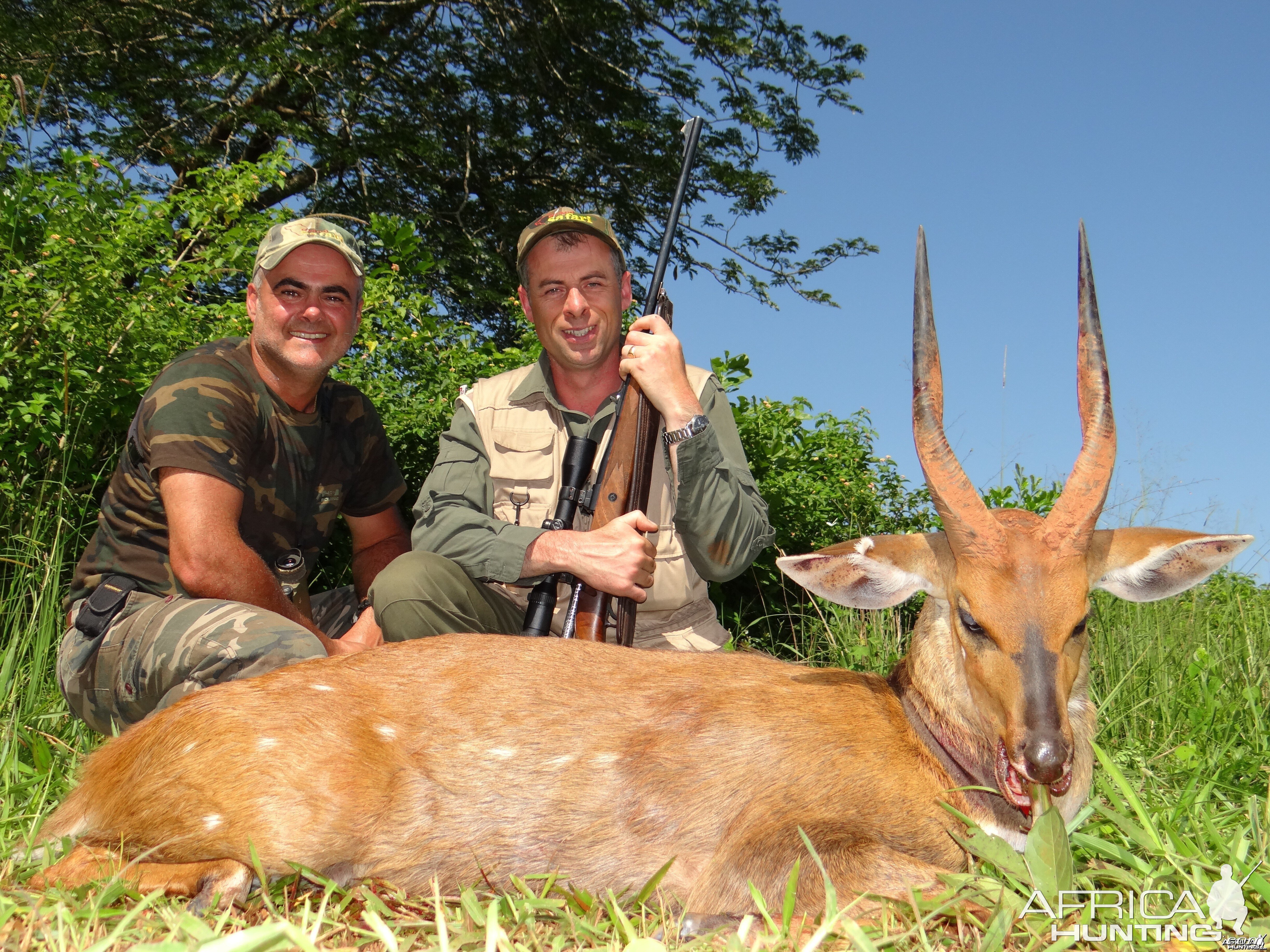 Nile Bushbuck - UGANDA