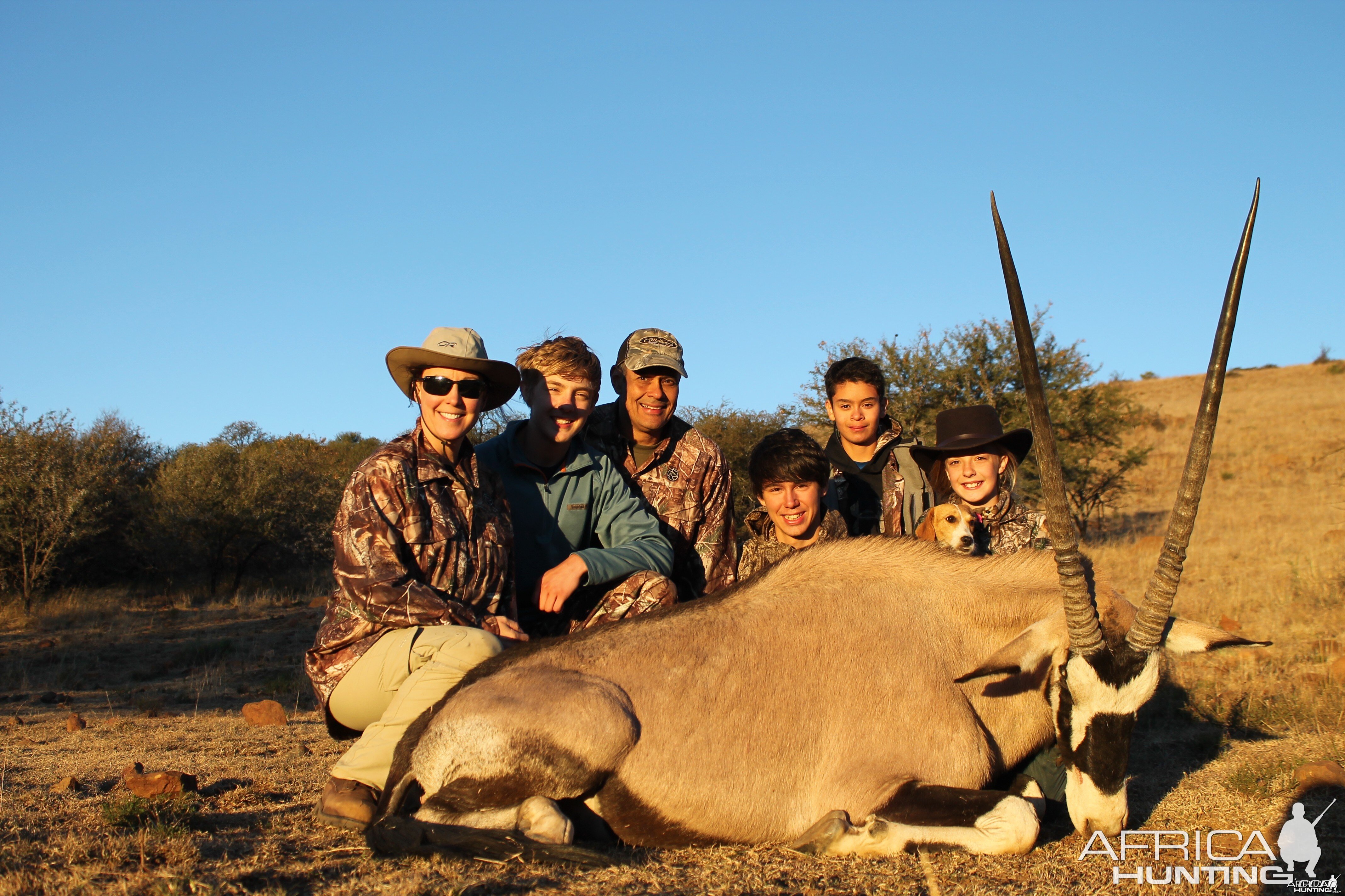 Noah's Gemsbok