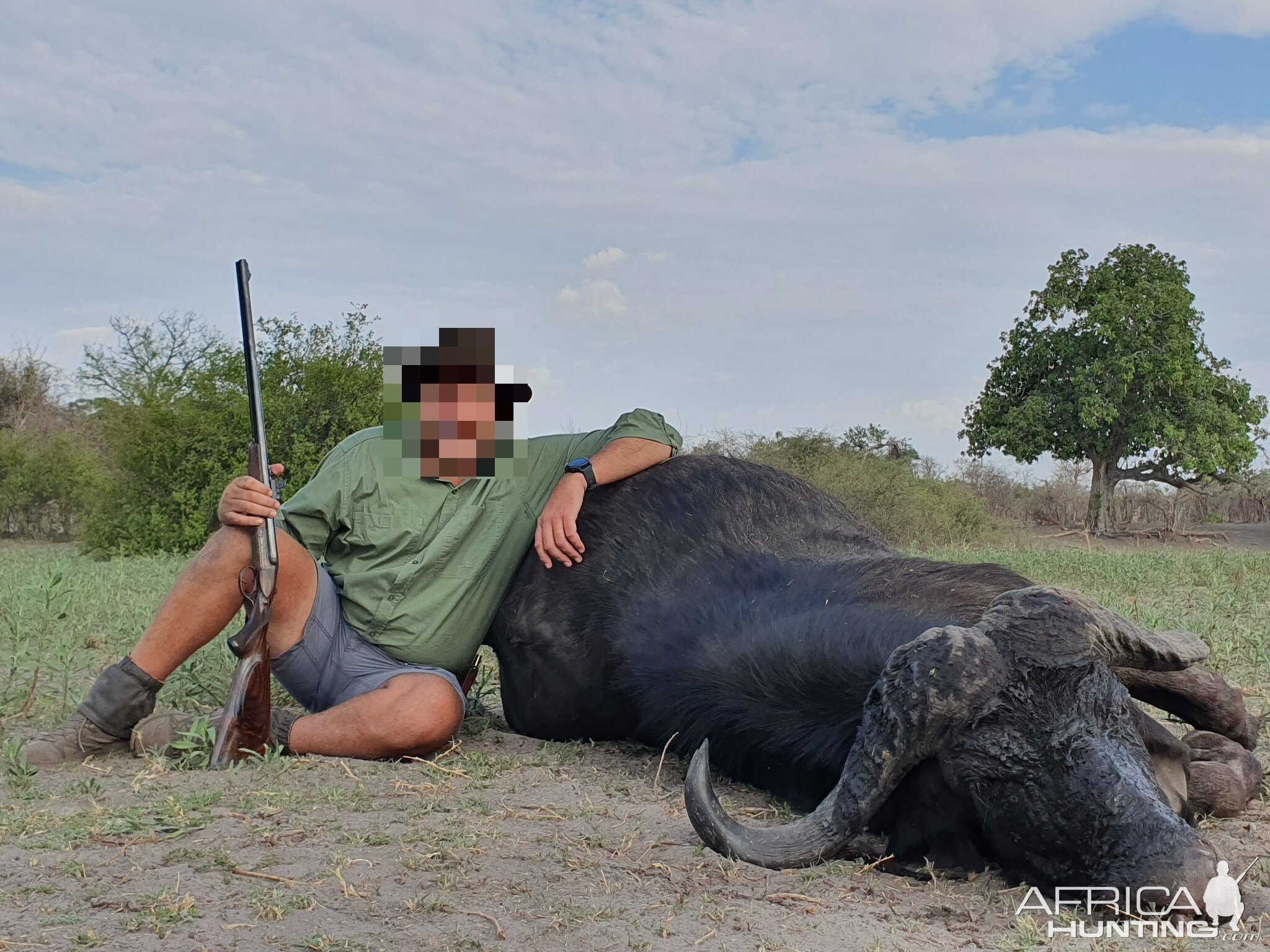 Non-exportable Hunting Buffalo