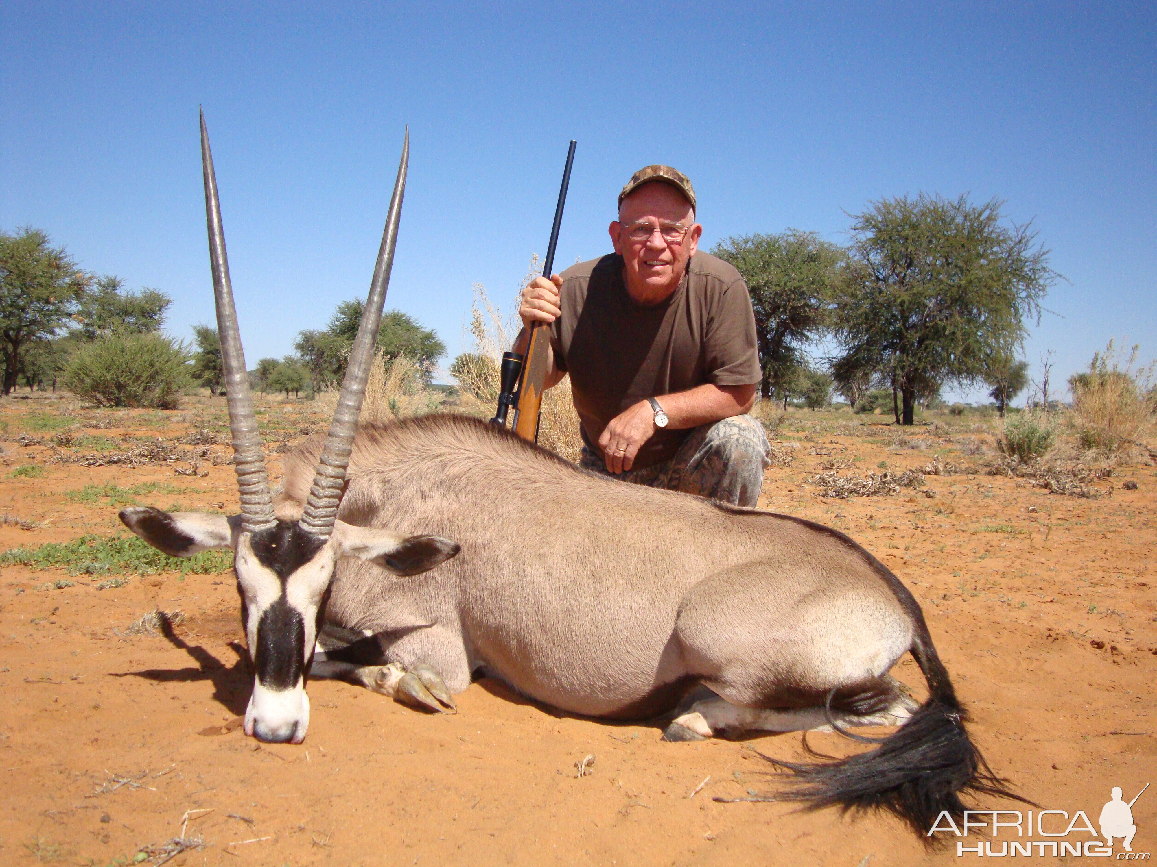 Non-Trophy Hunt Gemsbok Namibia