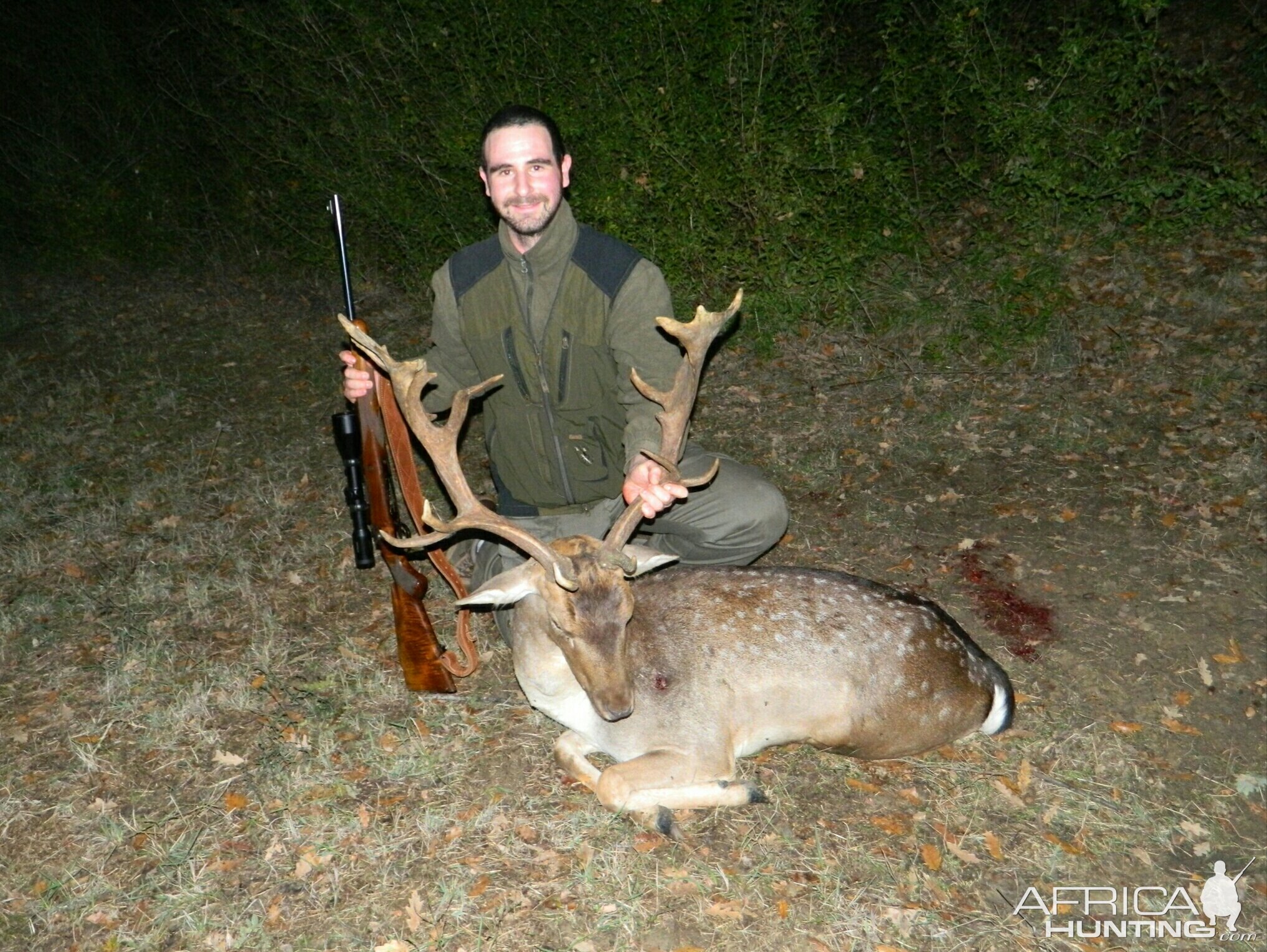 Non-Typical Fallow Deer Italy