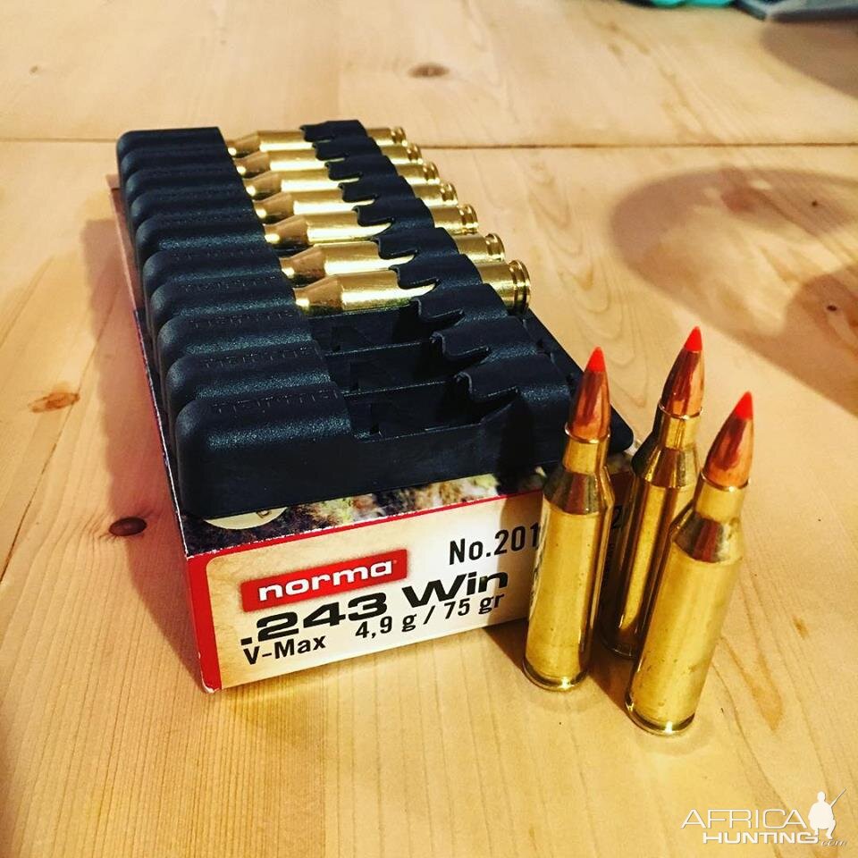 Norma .243 Ammunition