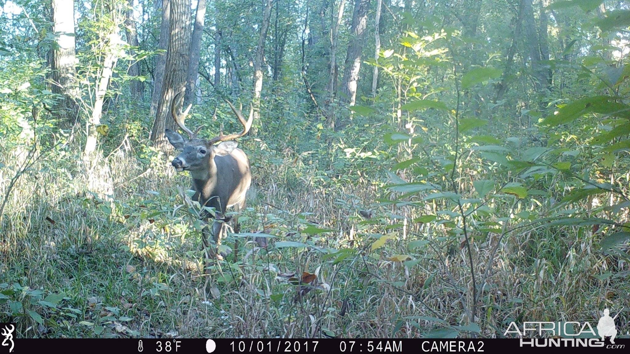 Northern VA (urban)