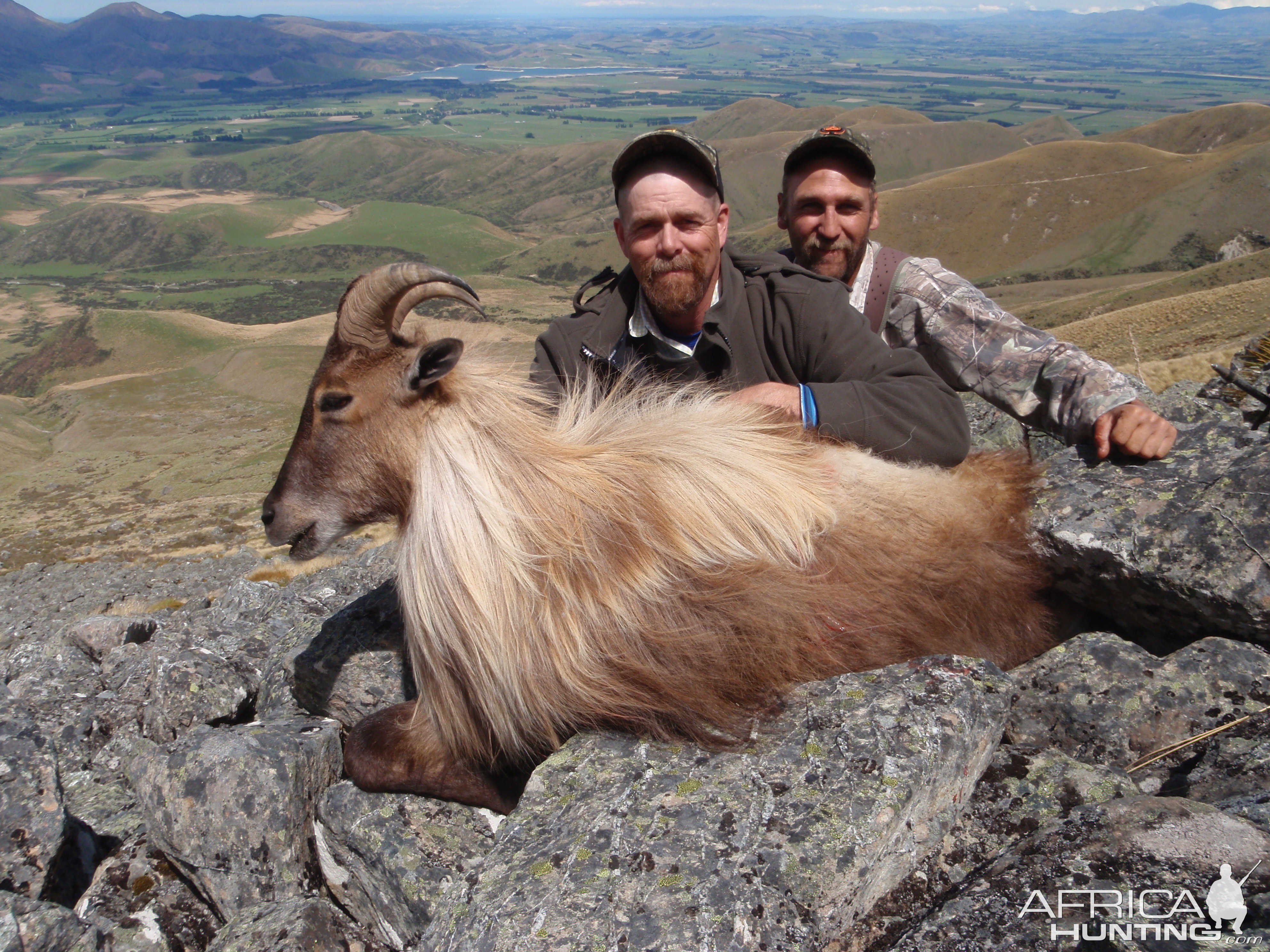 November Tahr hunting in New Zealand