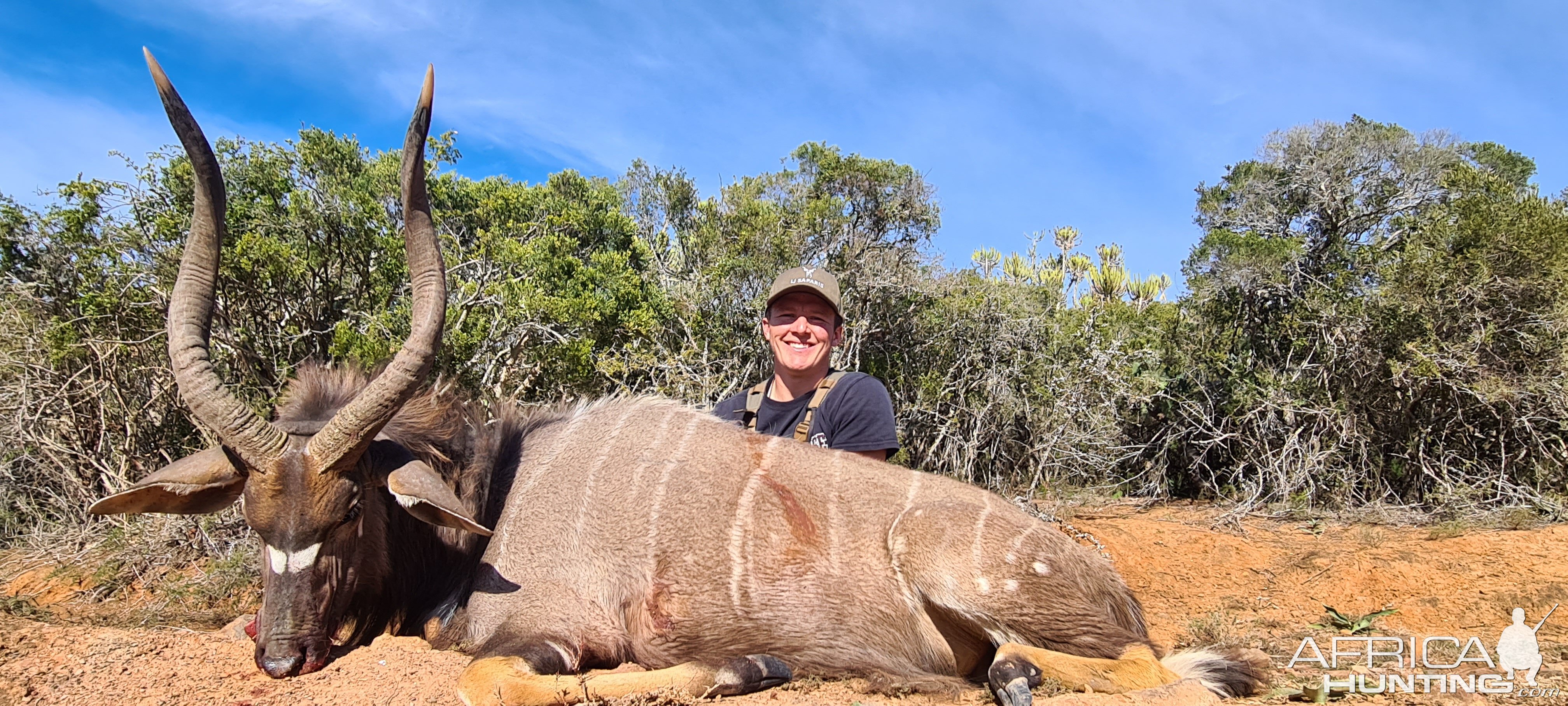 Nyala Hunt Eastern Cape South Africa