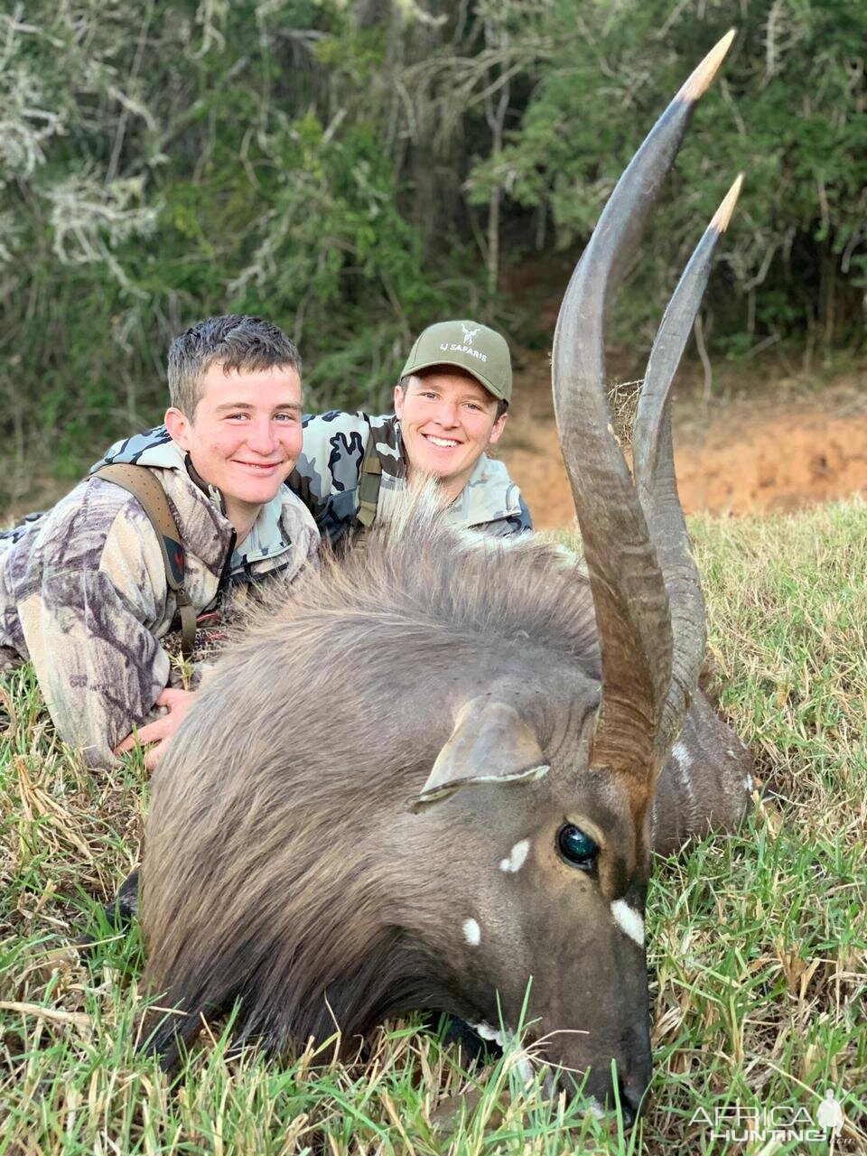 Nyala Hunt Eastern Cape South Africa