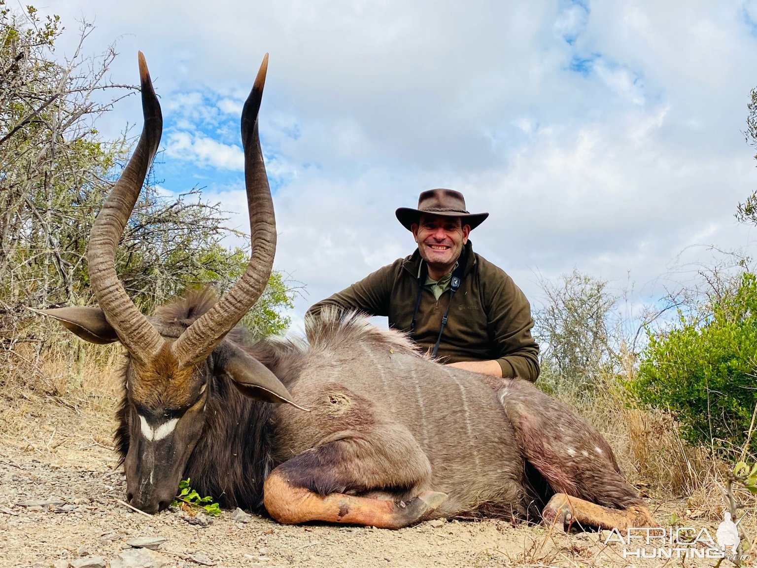 Nyala Hunt Eastern Cape South Africa