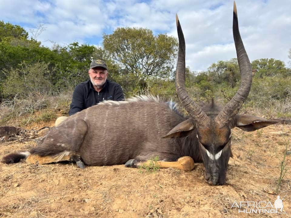 Nyala Hunt Eastern Cape South Africa