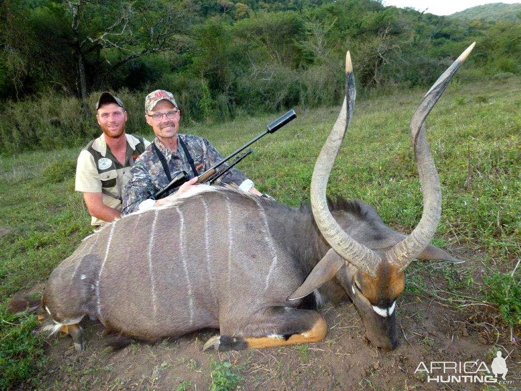 Nyala Hunt Eastern Cape South Africa