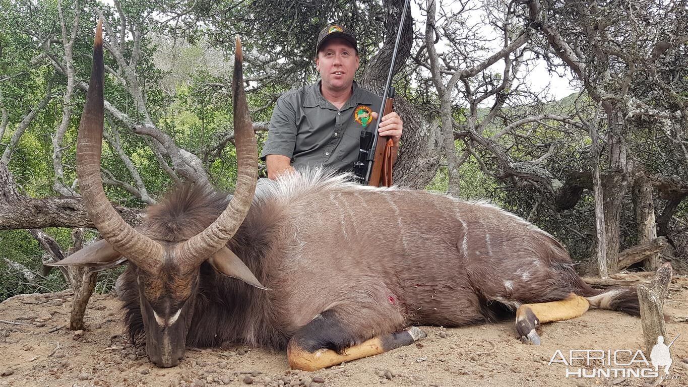 Nyala Hunt in South Africa