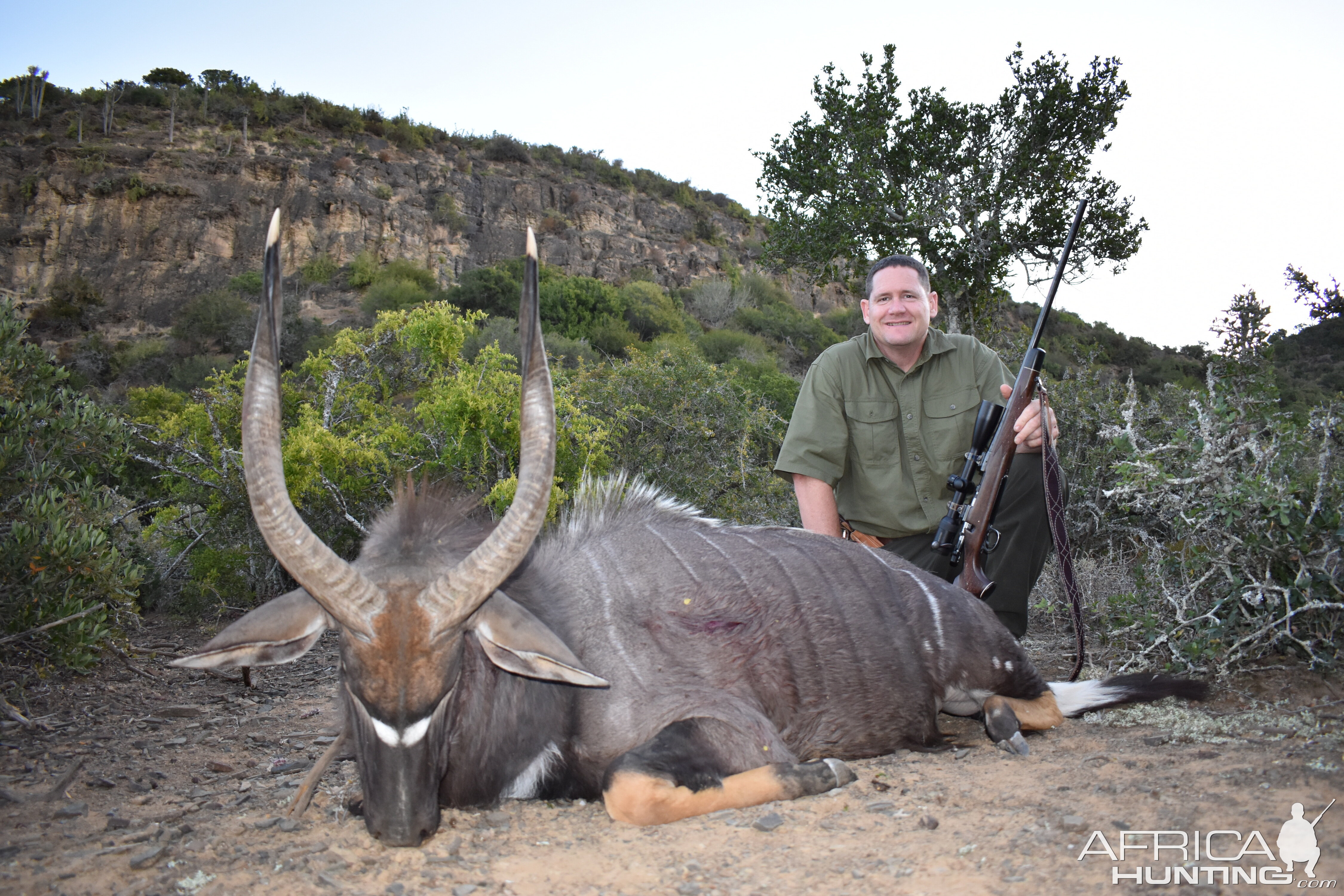 Nyala Hunt in South Africa