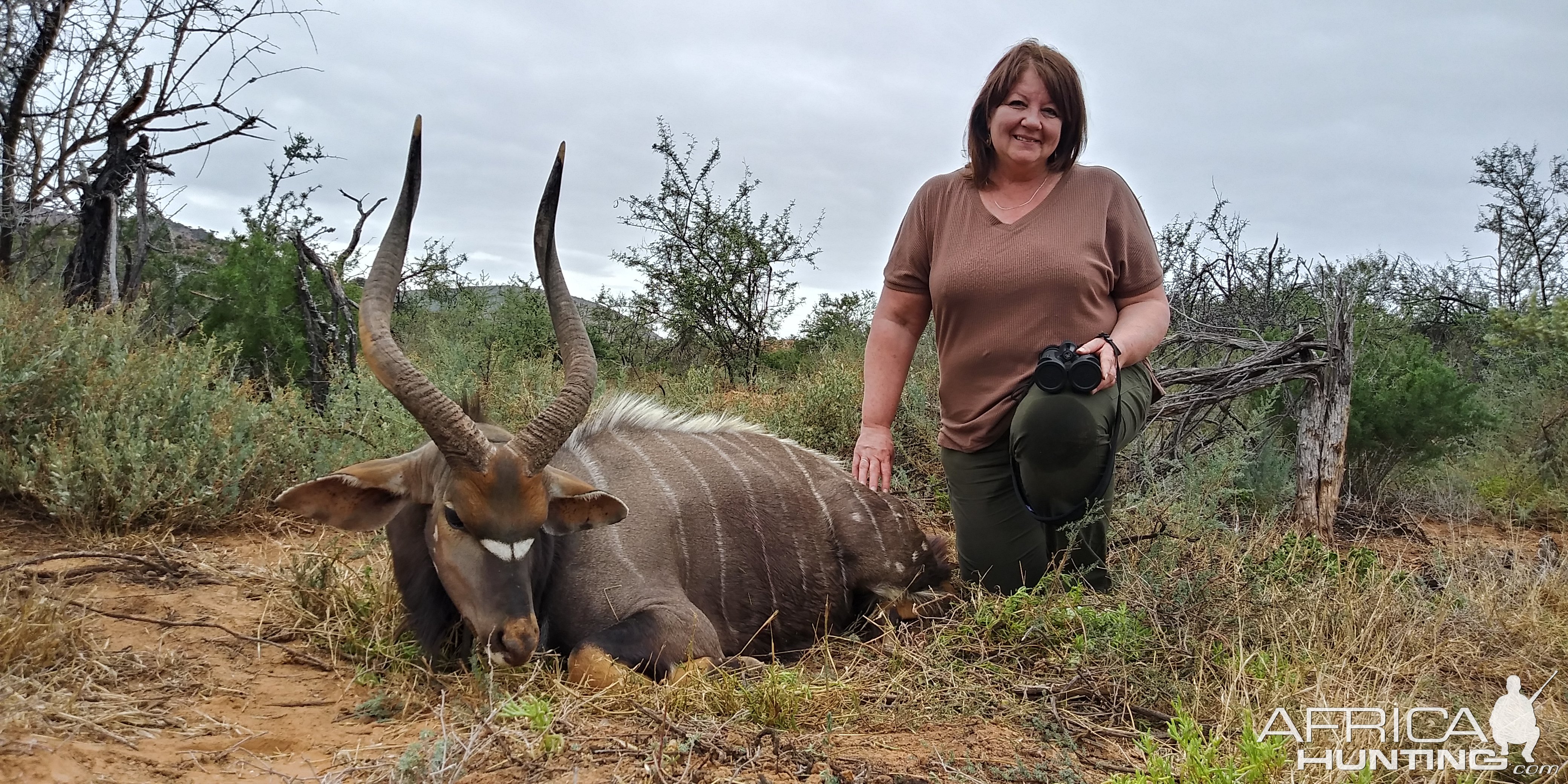 Nyala Hunt Karoo South Africa