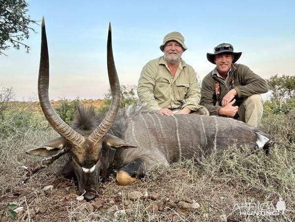 Nyala Hunt Karoo South Africa