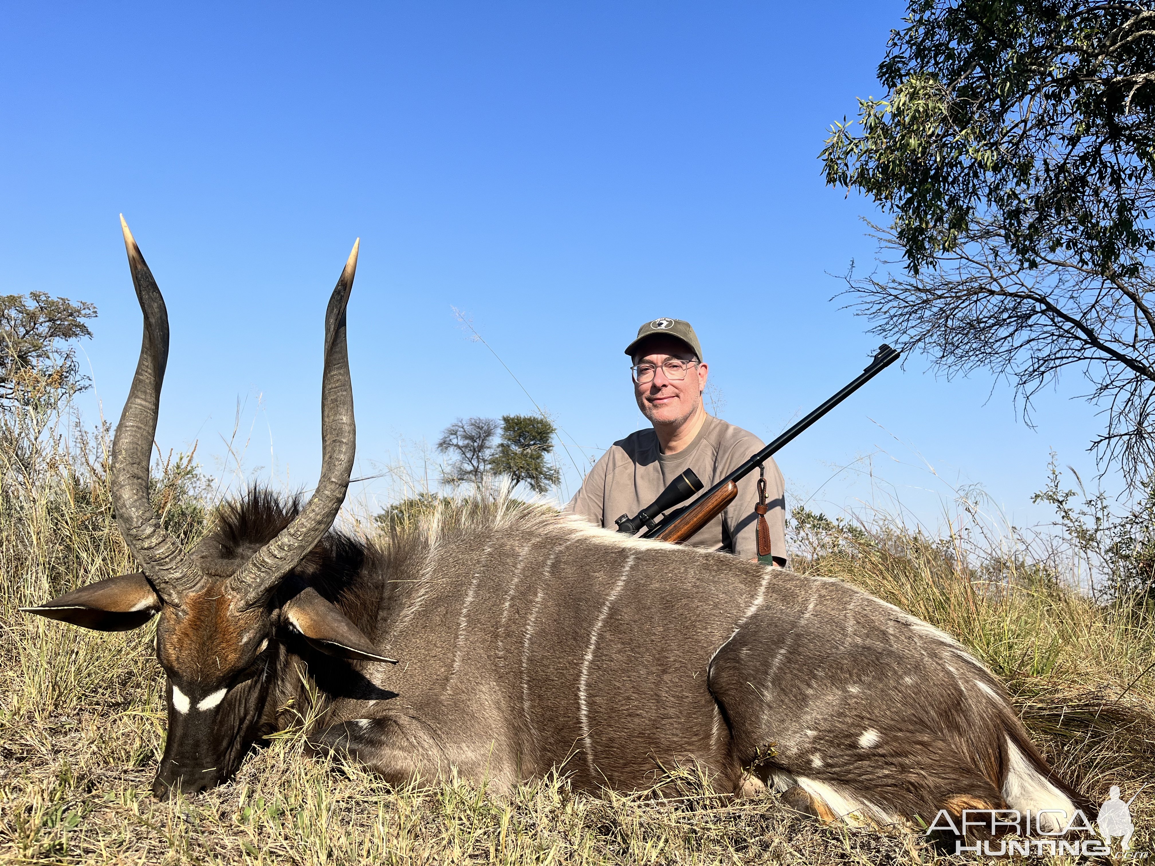 Nyala Hunt Limpopo South Africa