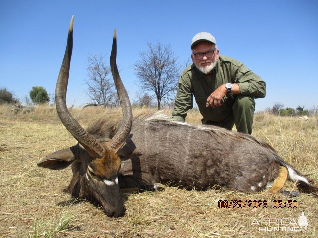 Nyala Hunt Limpopo South Africa