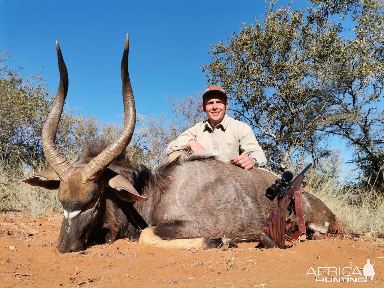 Nyala Hunt Limpopo South Africa