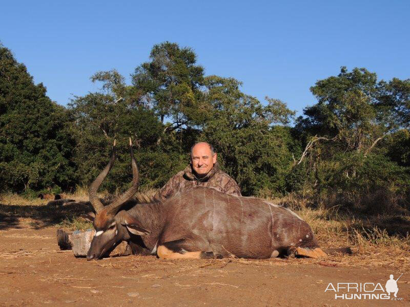 Nyala Hunt Mozambique