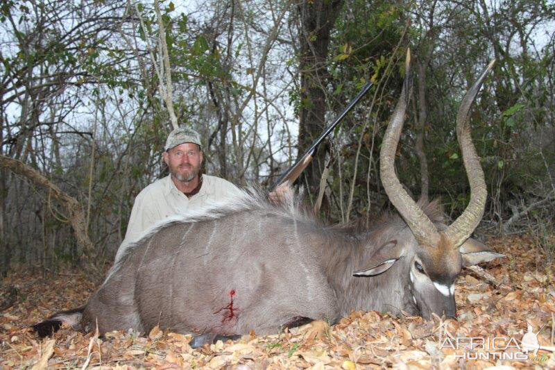 Nyala Hunt Mozambique