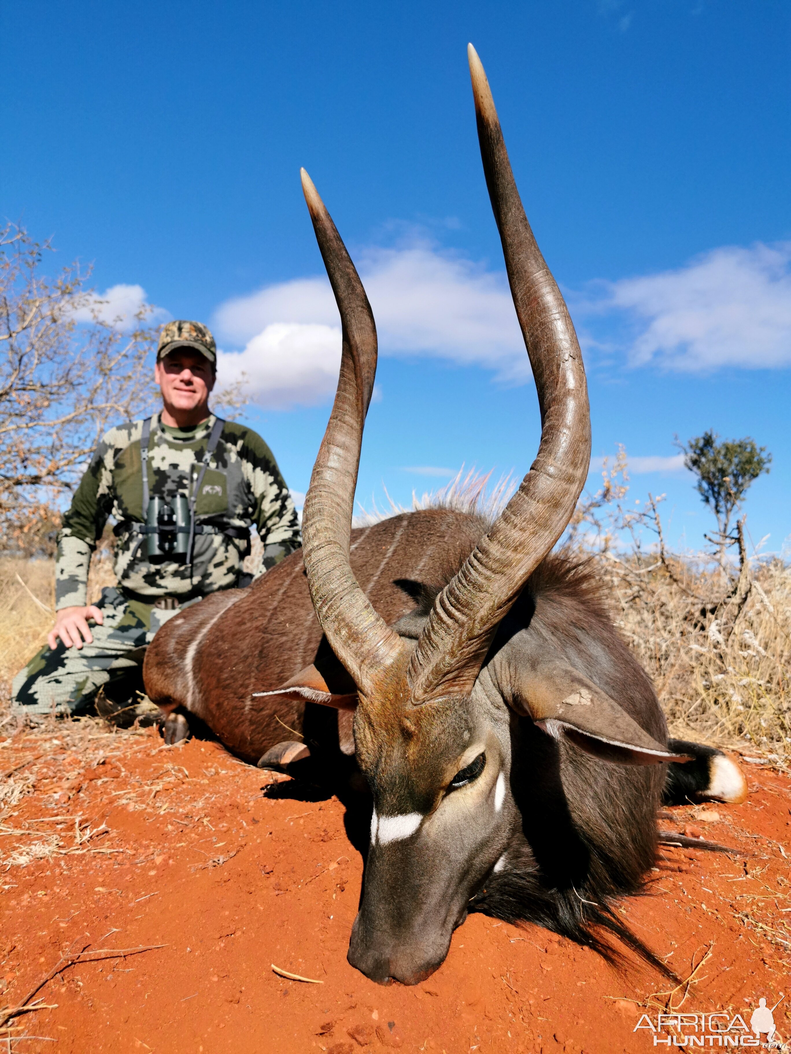 Nyala Hunt South Africa