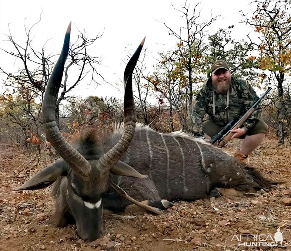 Nyala Hunt South Africa