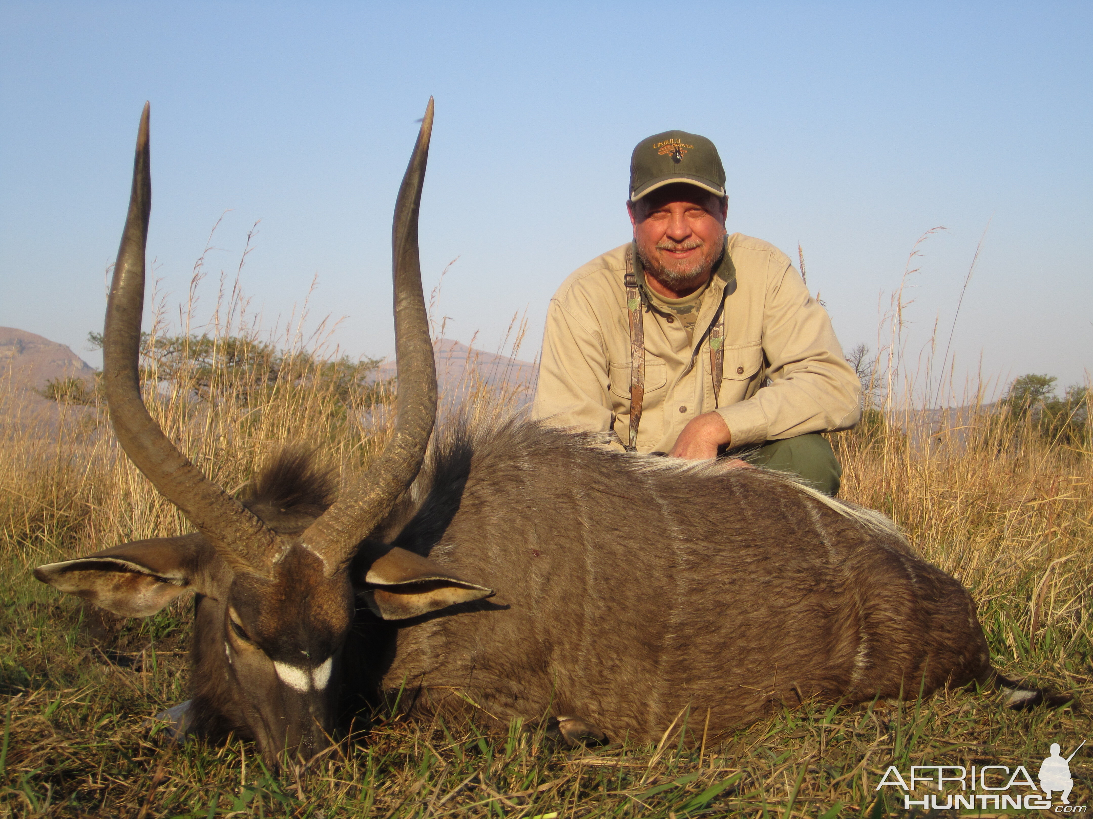 Nyala Hunt South Africa