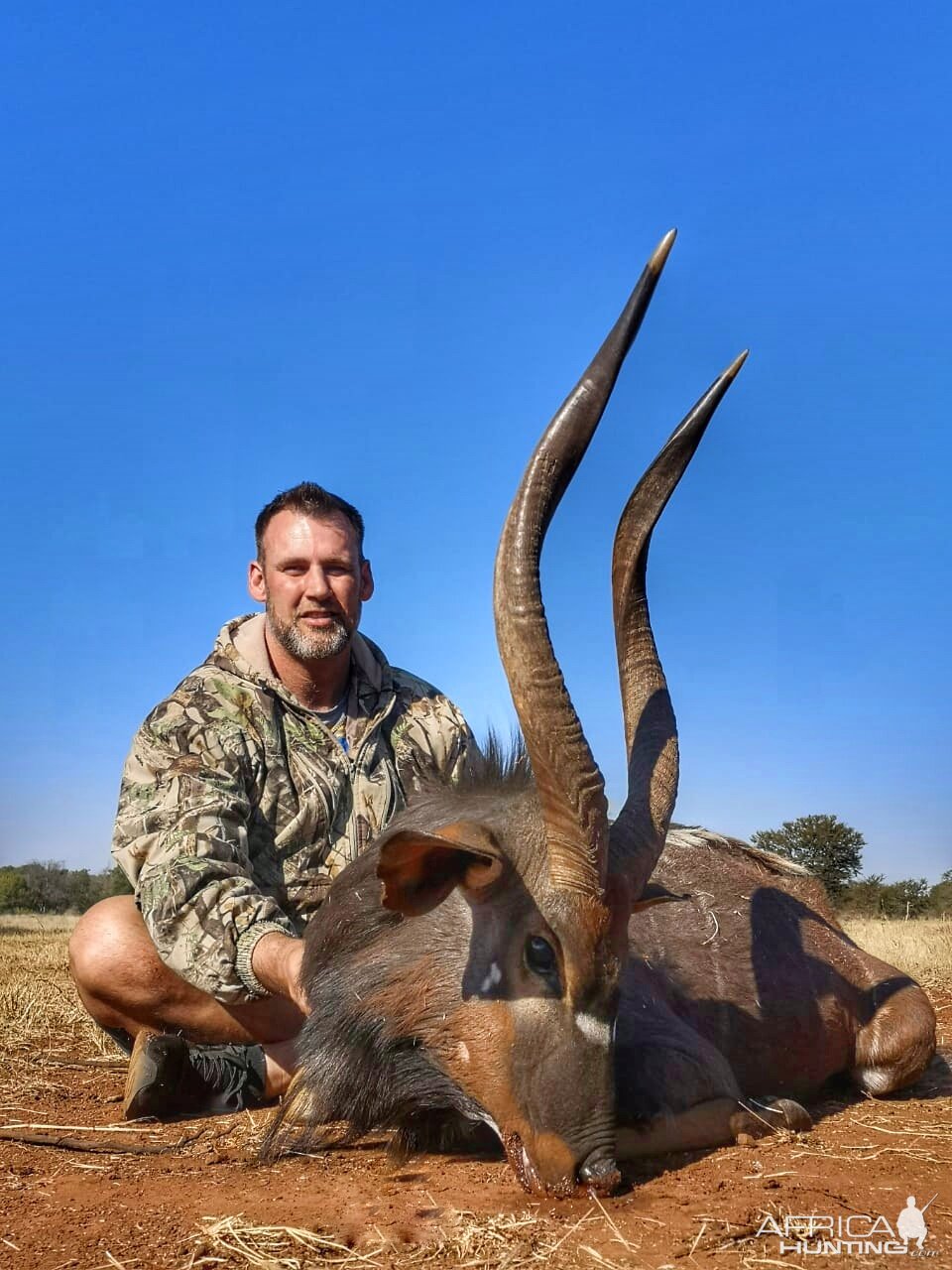 Nyala Hunt South Africa