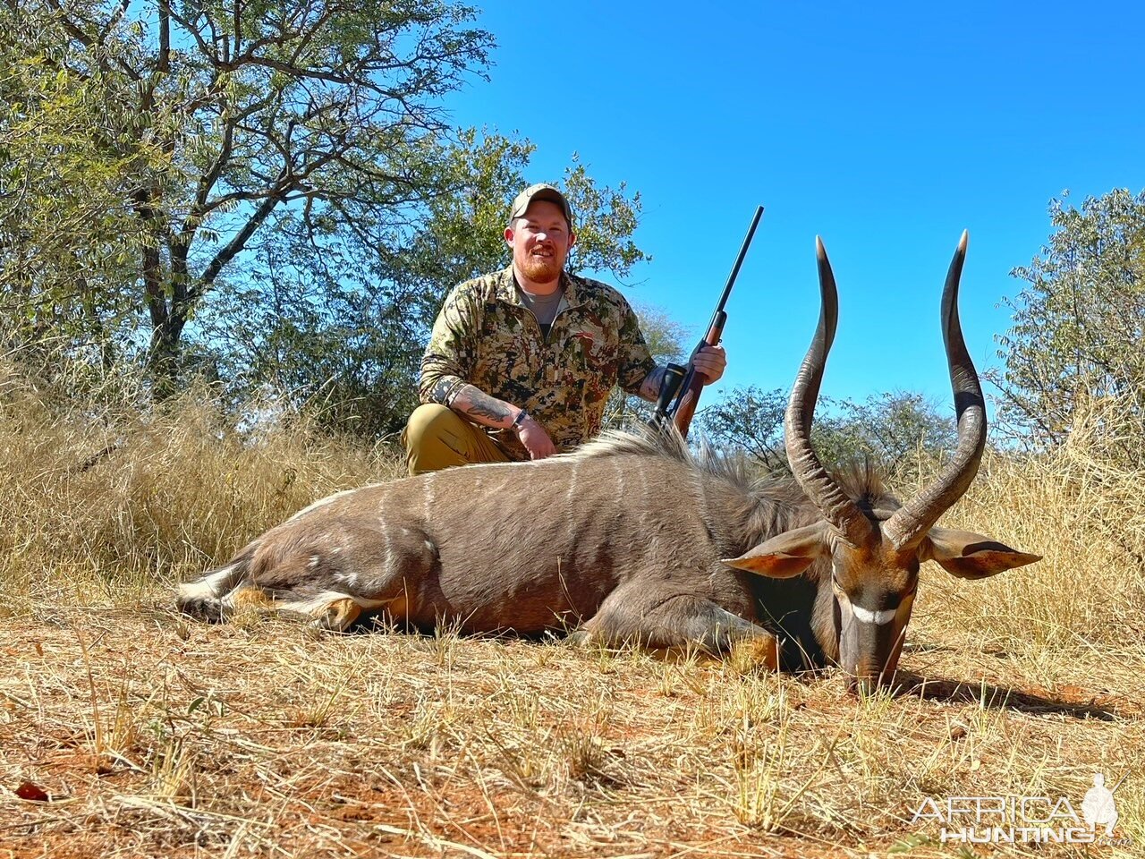 Nyala Hunt South Africa