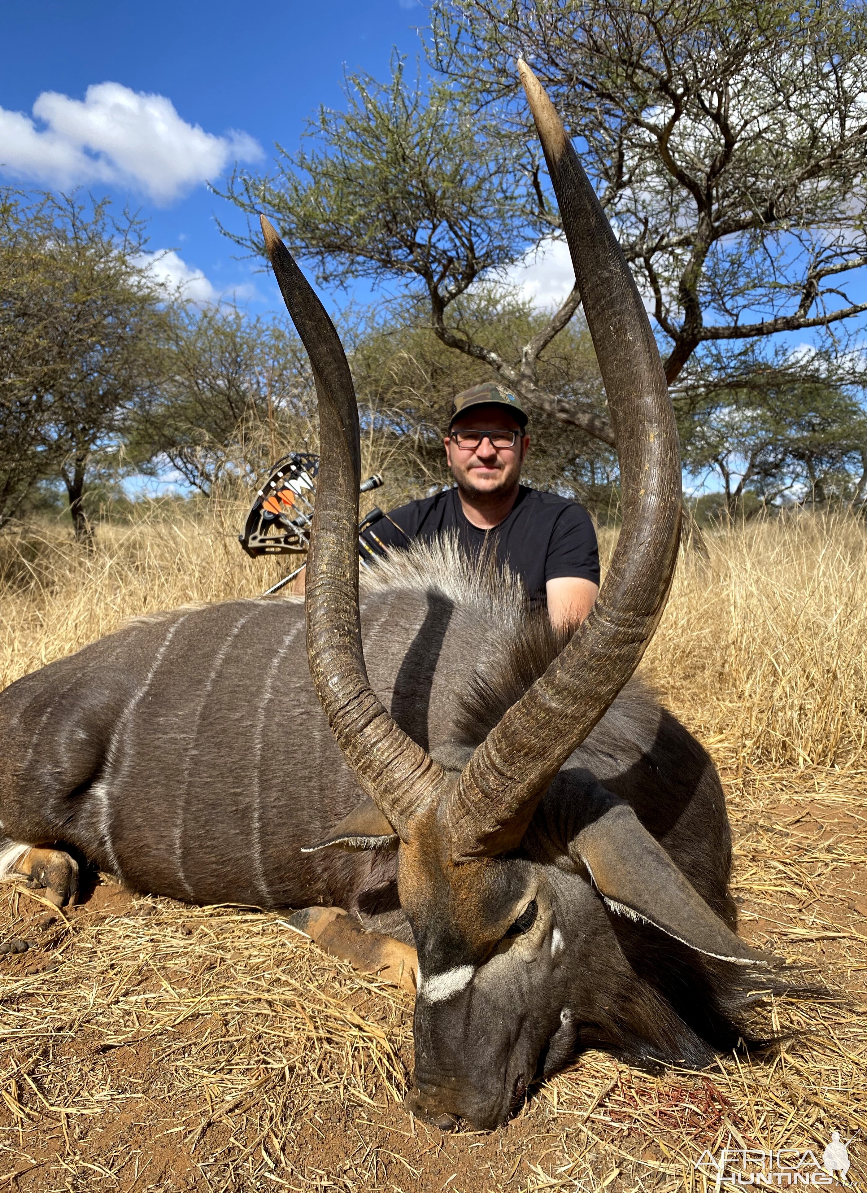 Nyala Hunt South Africa