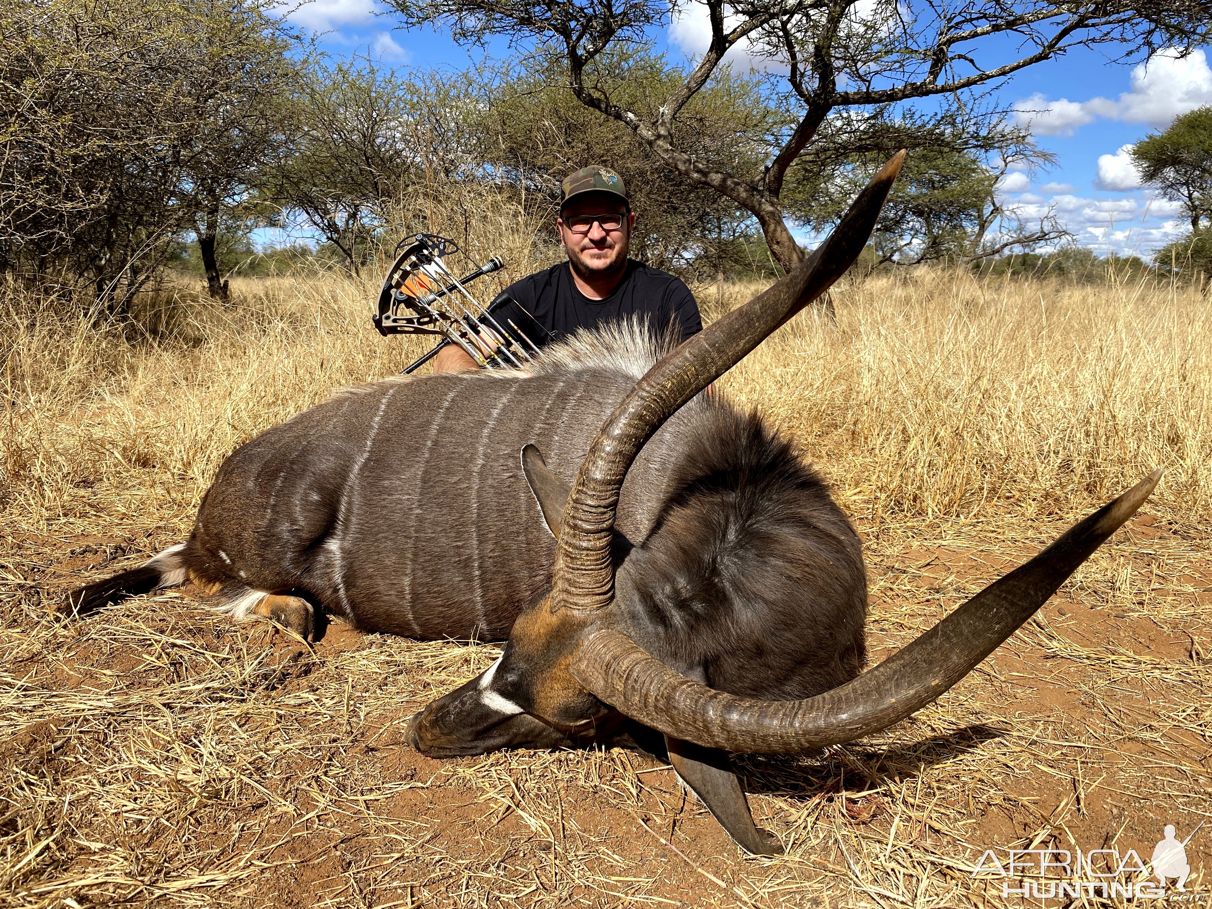 Nyala Hunt South Africa