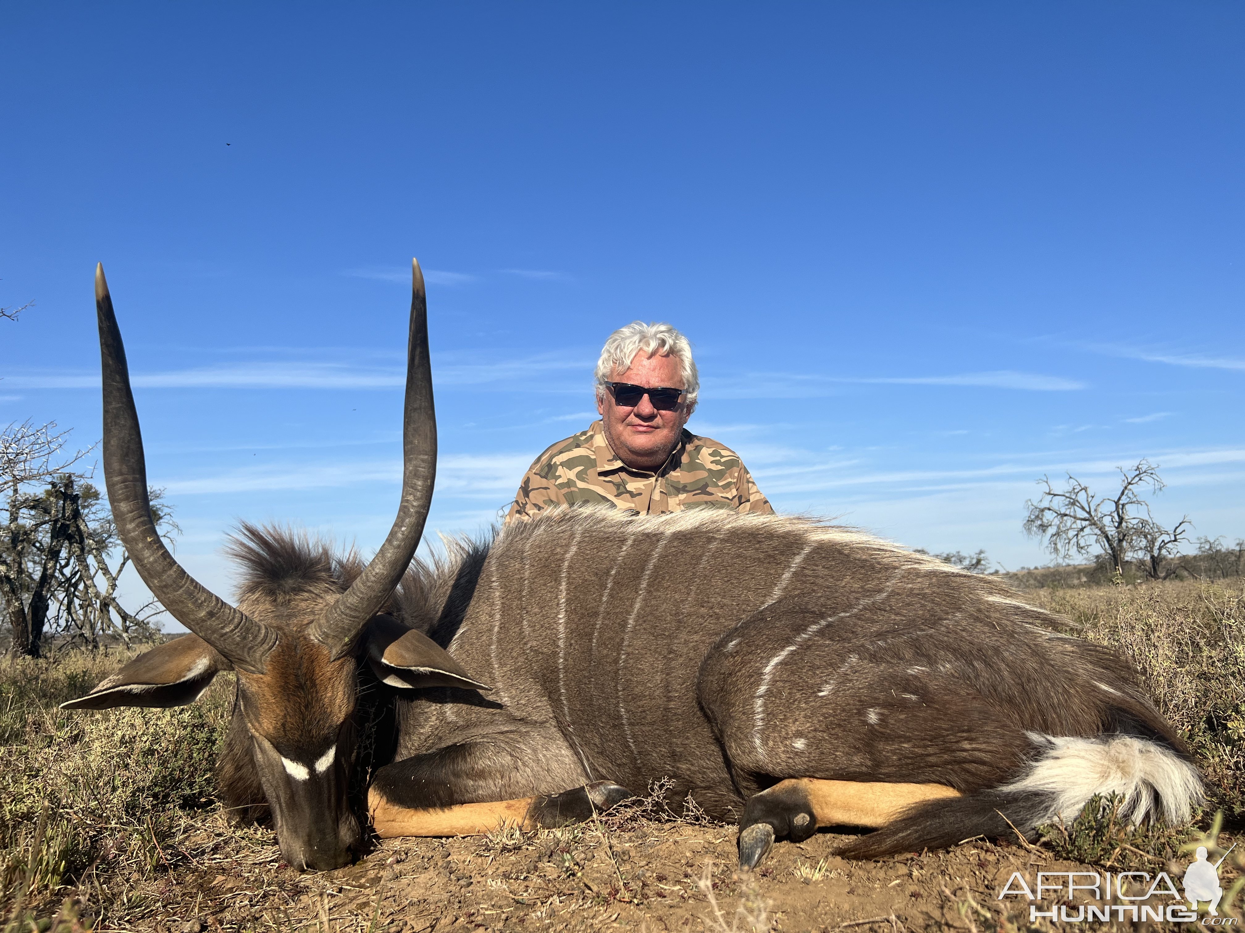 Nyala Hunt South Africa