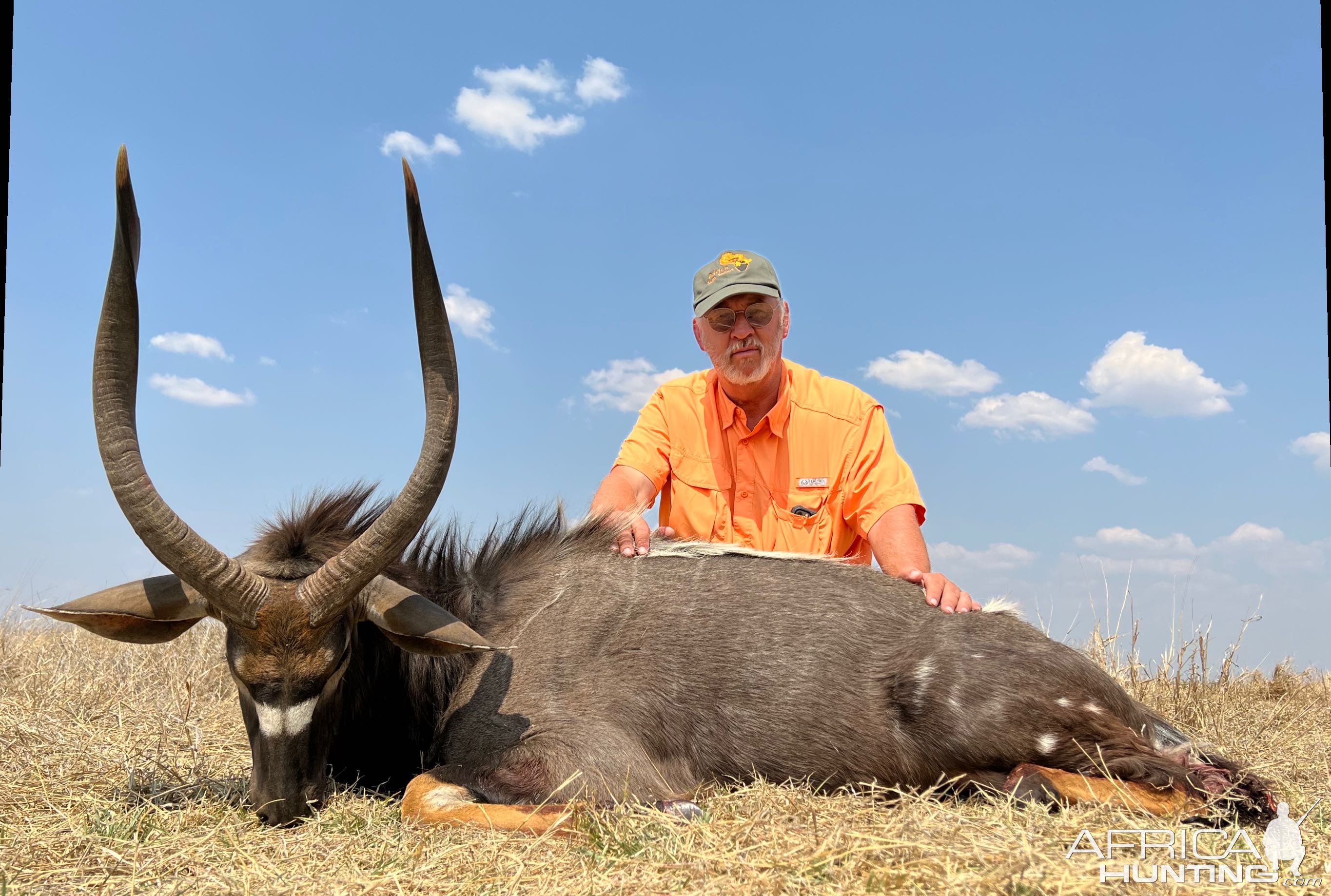 Nyala Hunt South Africa