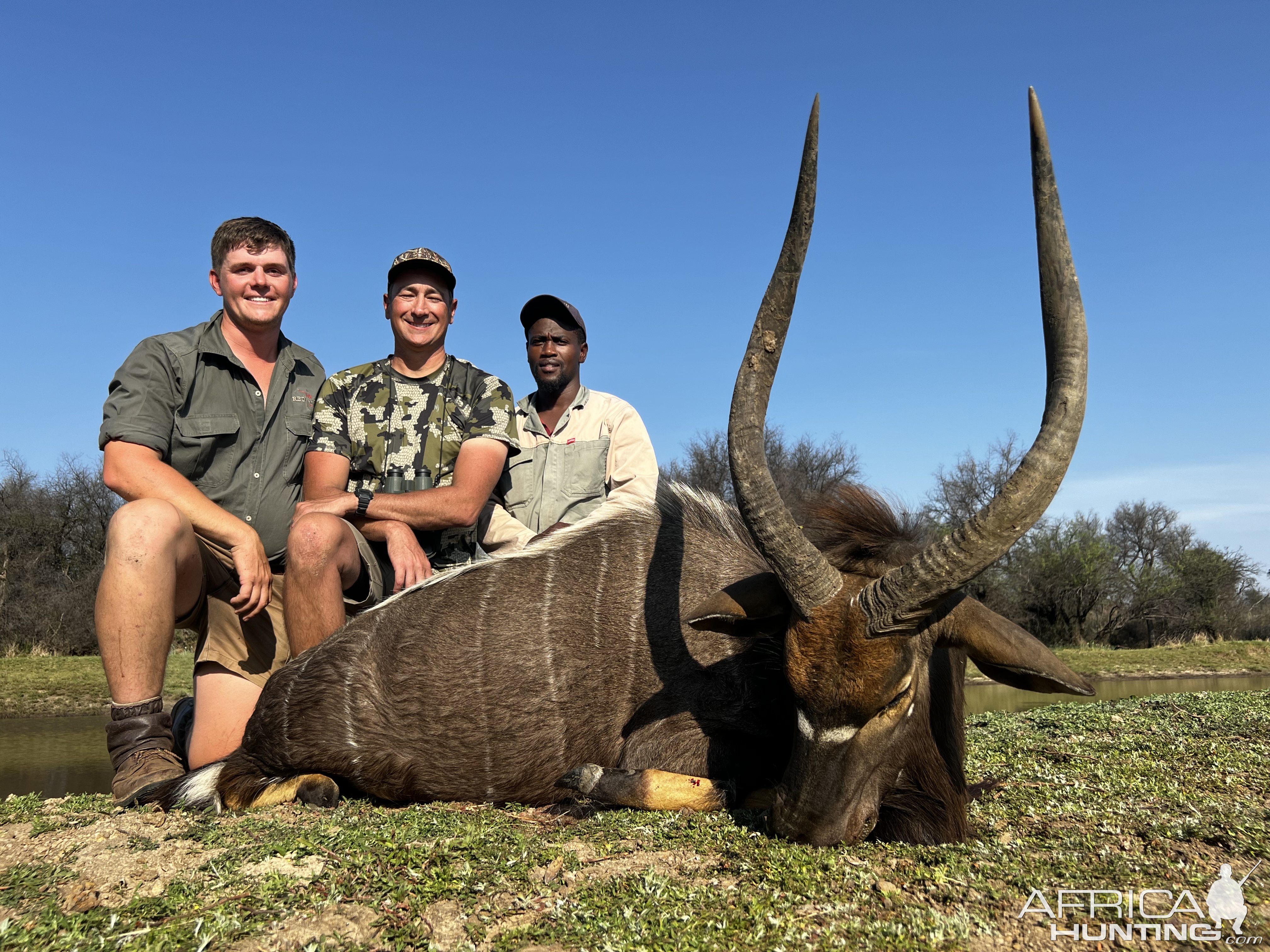 Nyala Hunt South Africa