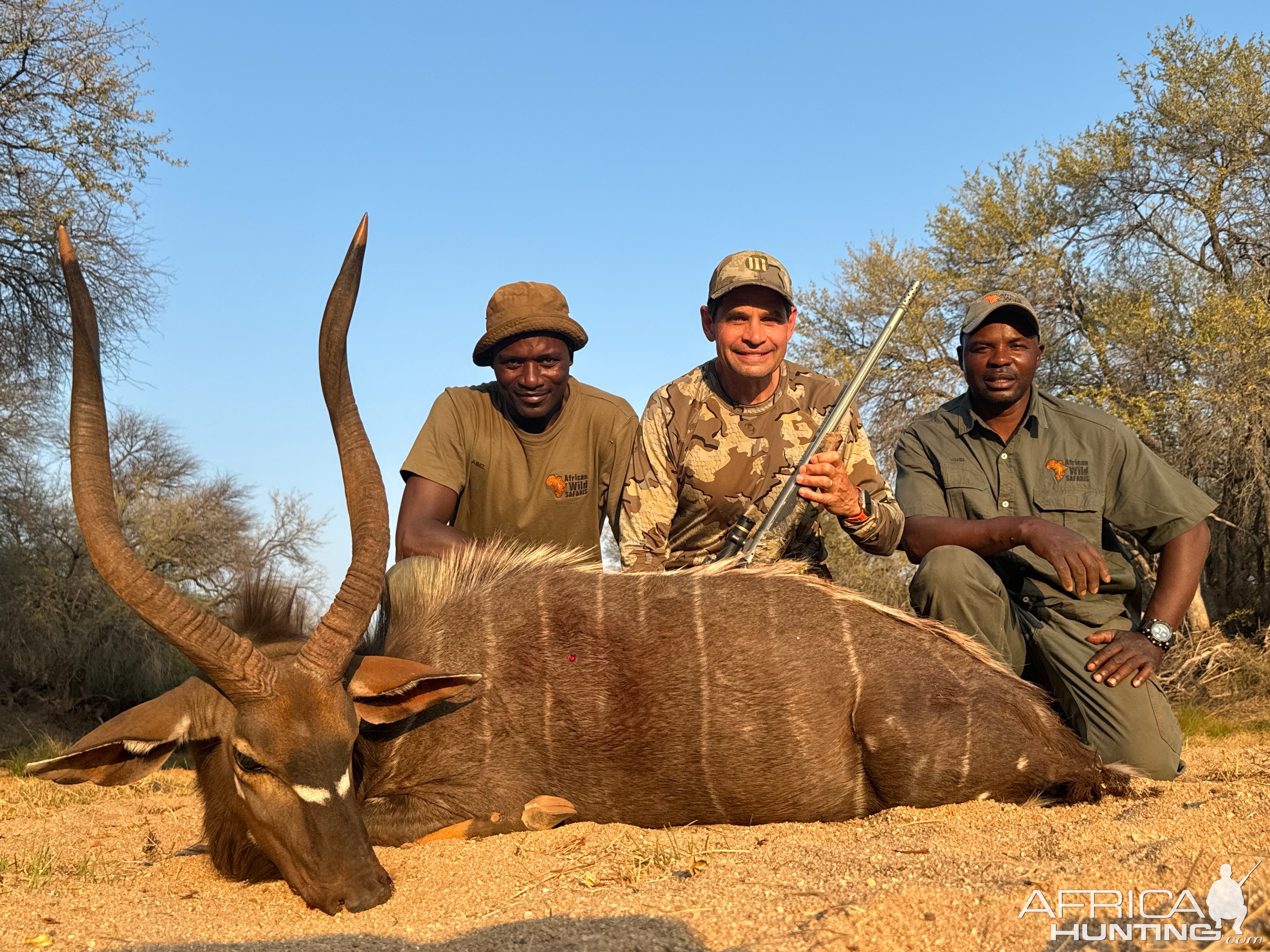 Nyala Hunt South Africa