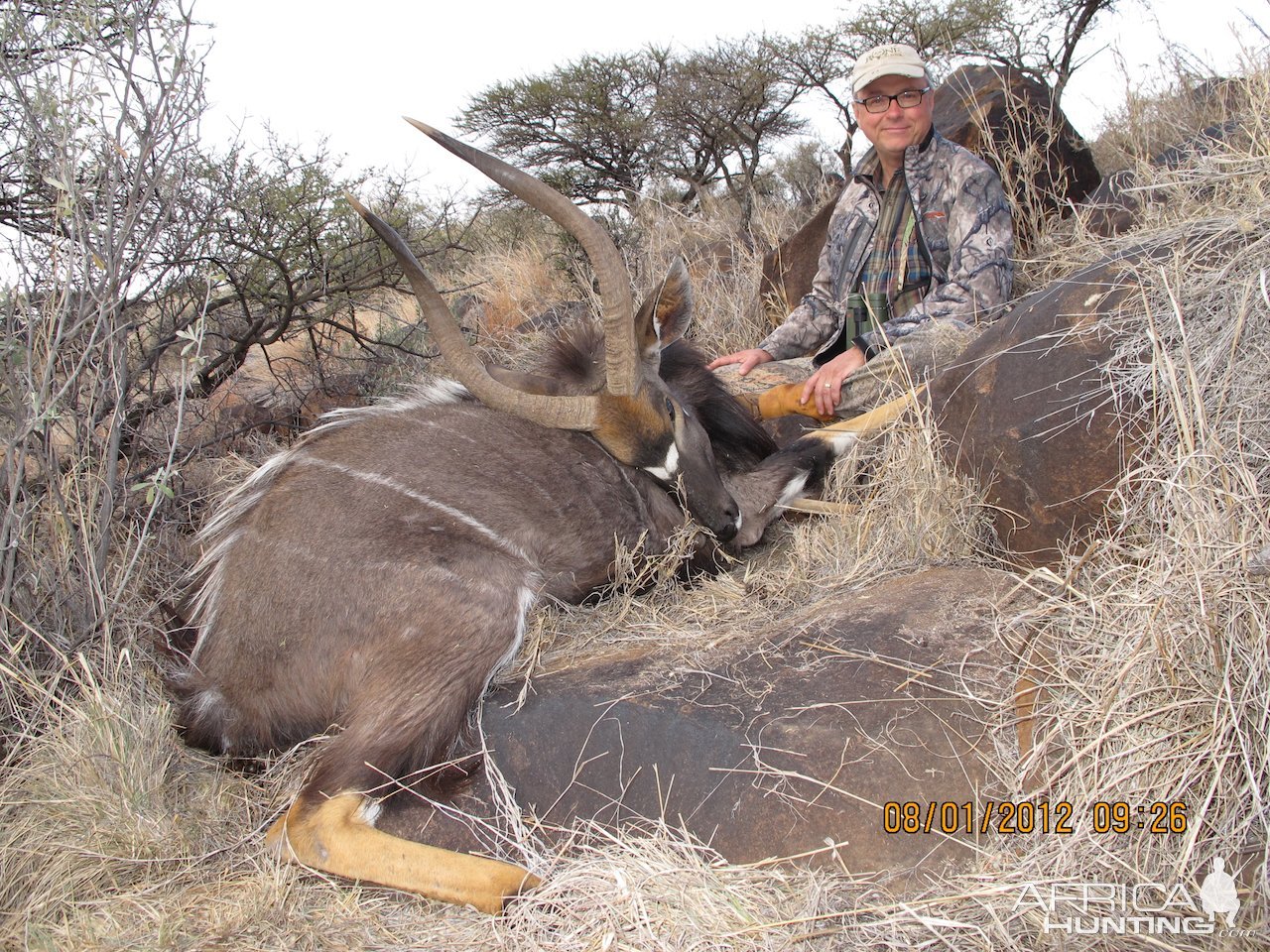 Nyala Hunt South Africa