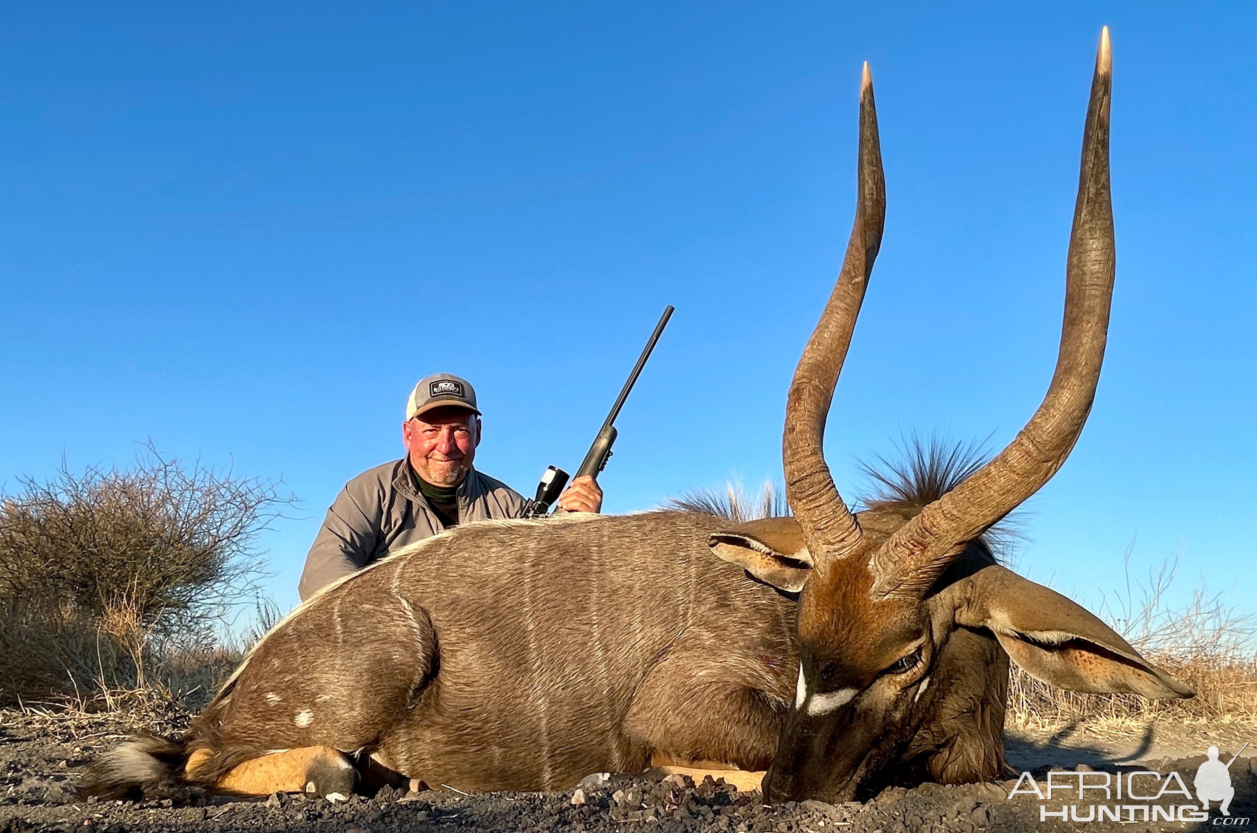 Nyala Hunt South Africa