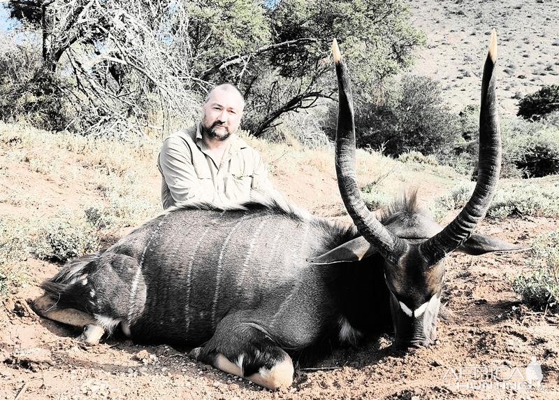 Nyala Hunt South Africa