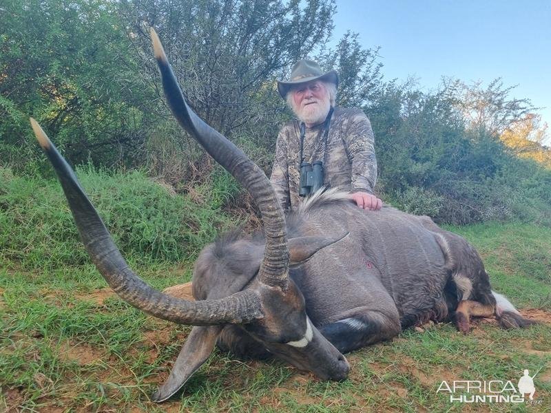 Nyala Hunt South Africa