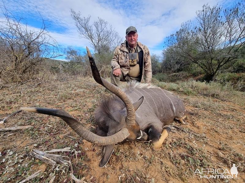 Nyala Hunt South Africa