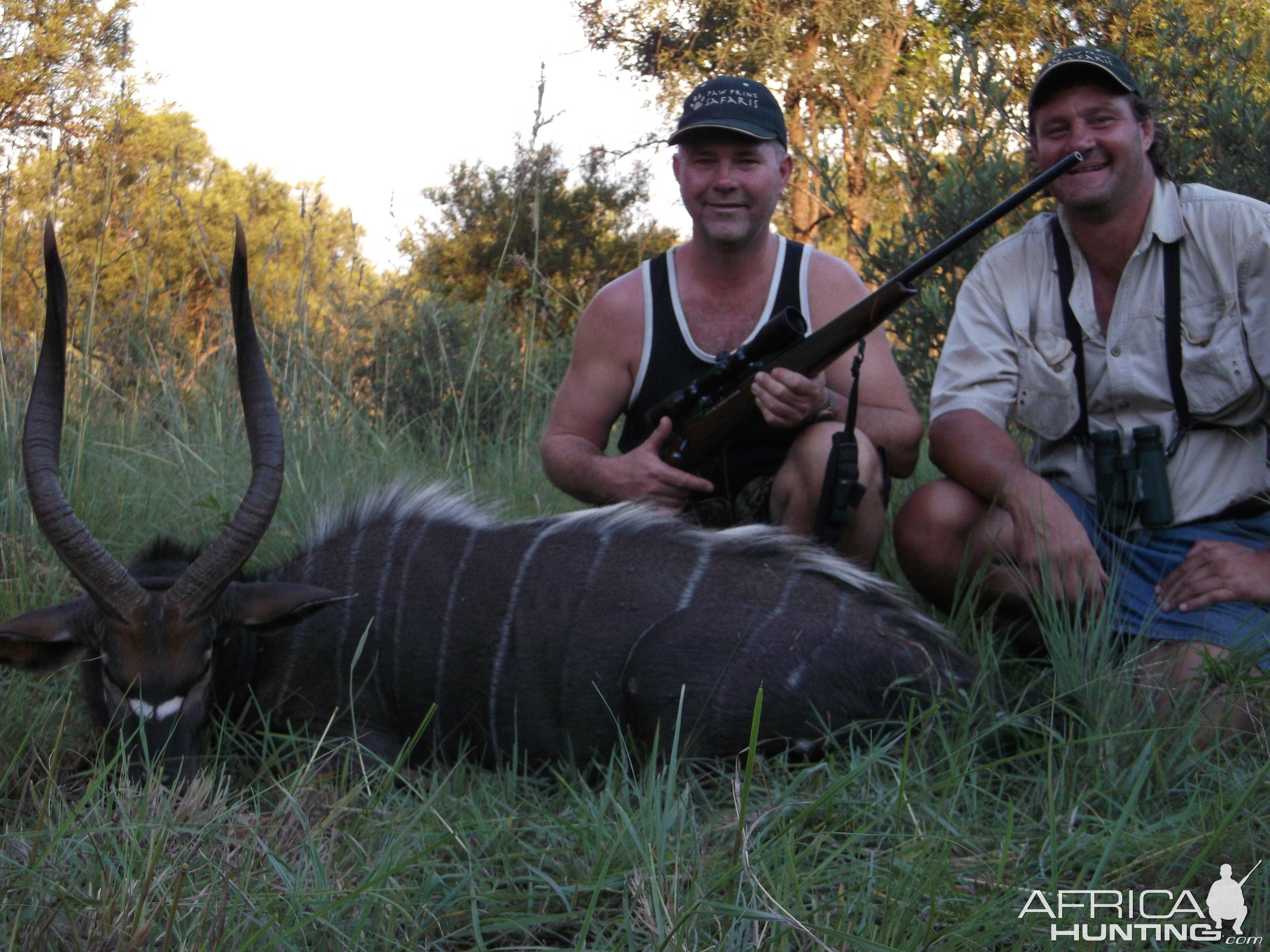 Nyala Hunt South Africa