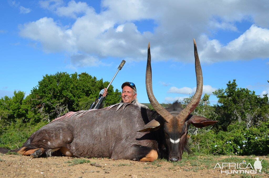 Nyala Hunt South Africa