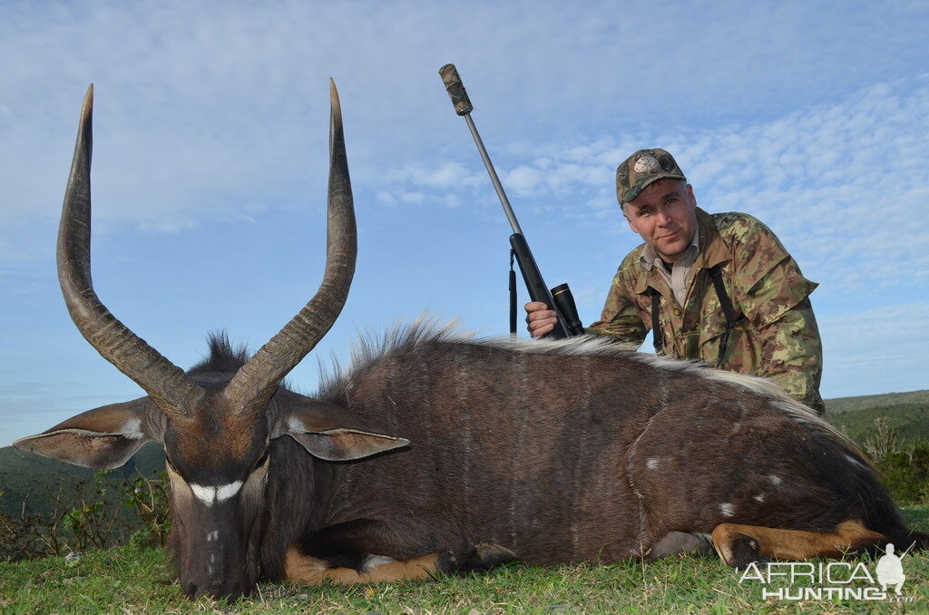 Nyala Hunt South Africa