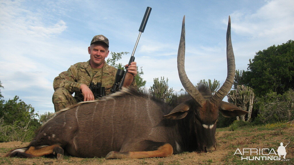 Nyala Hunt South Africa