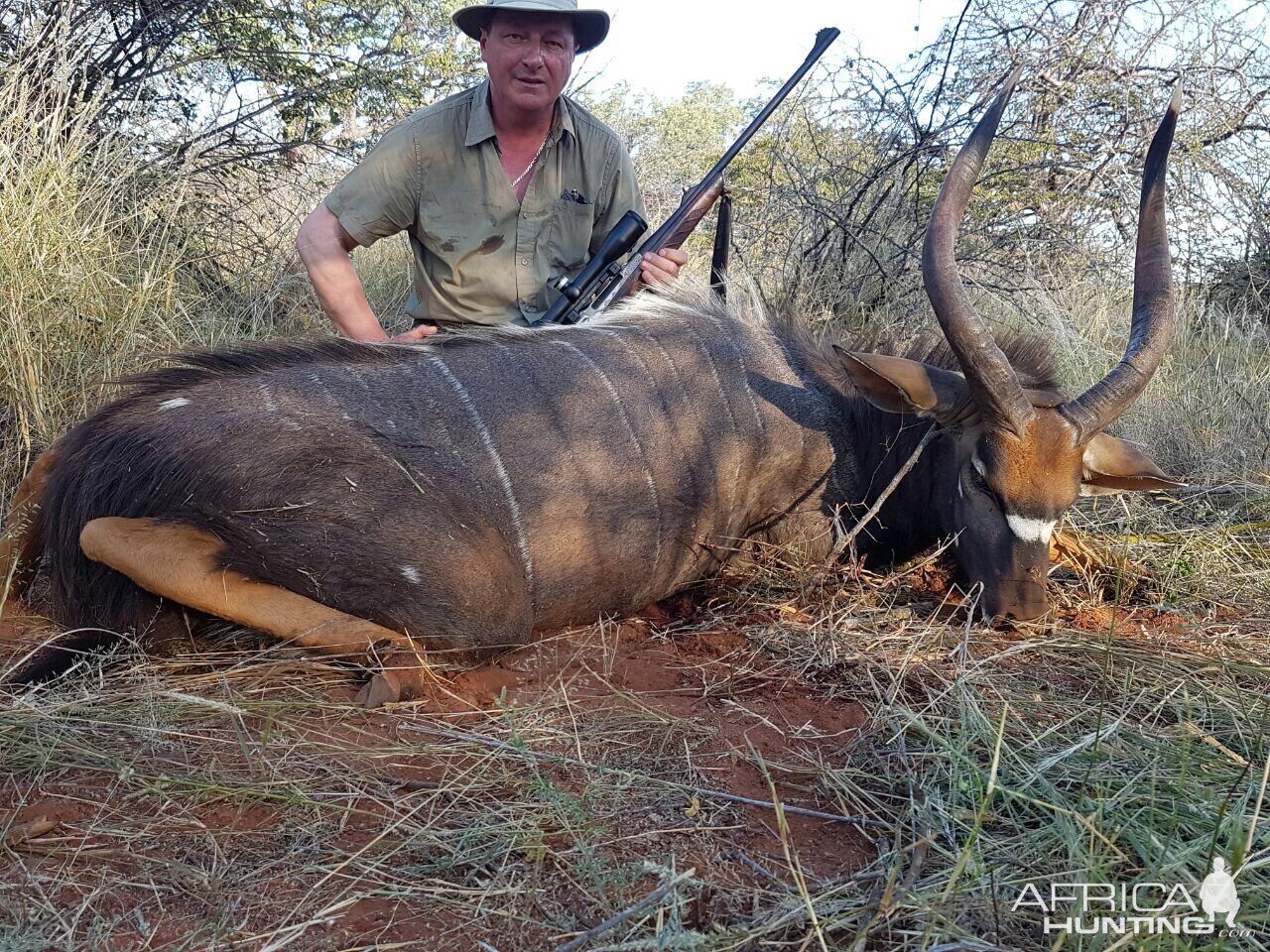 Nyala Hunt South Africa