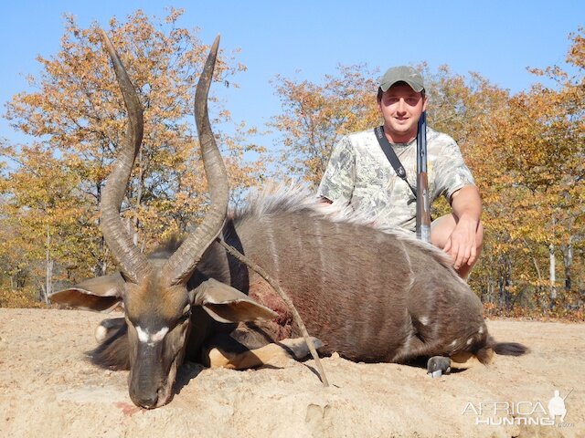 Nyala Hunt South Africa