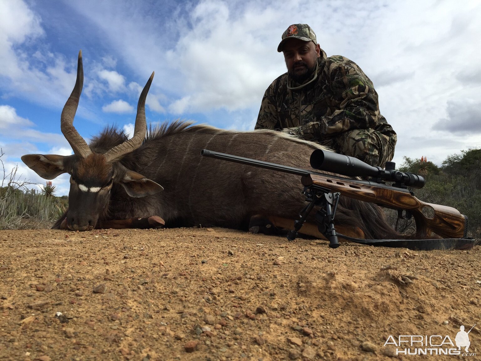 Nyala Hunt South Africa