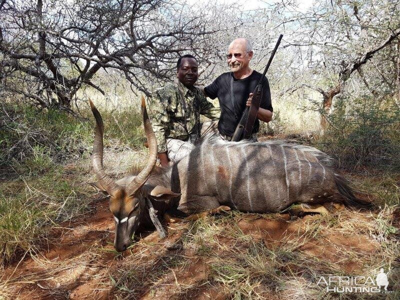 Nyala Hunt South Africa