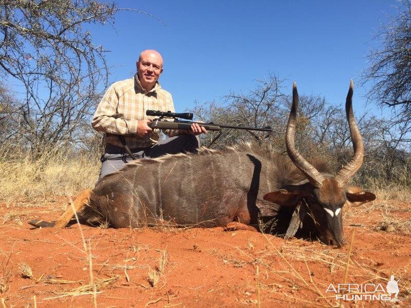 Nyala Hunt South Africa