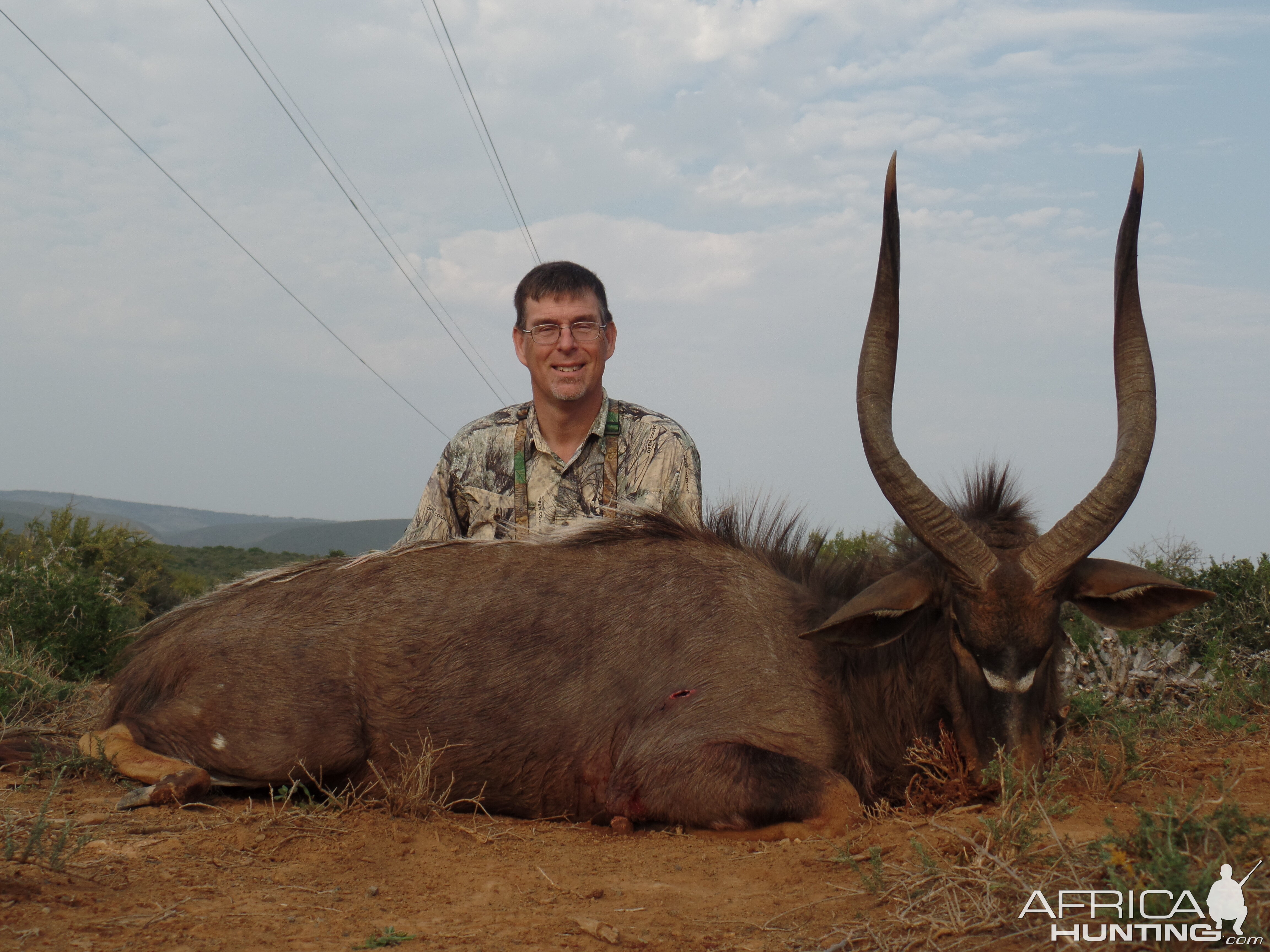 Nyala Hunt South Africa