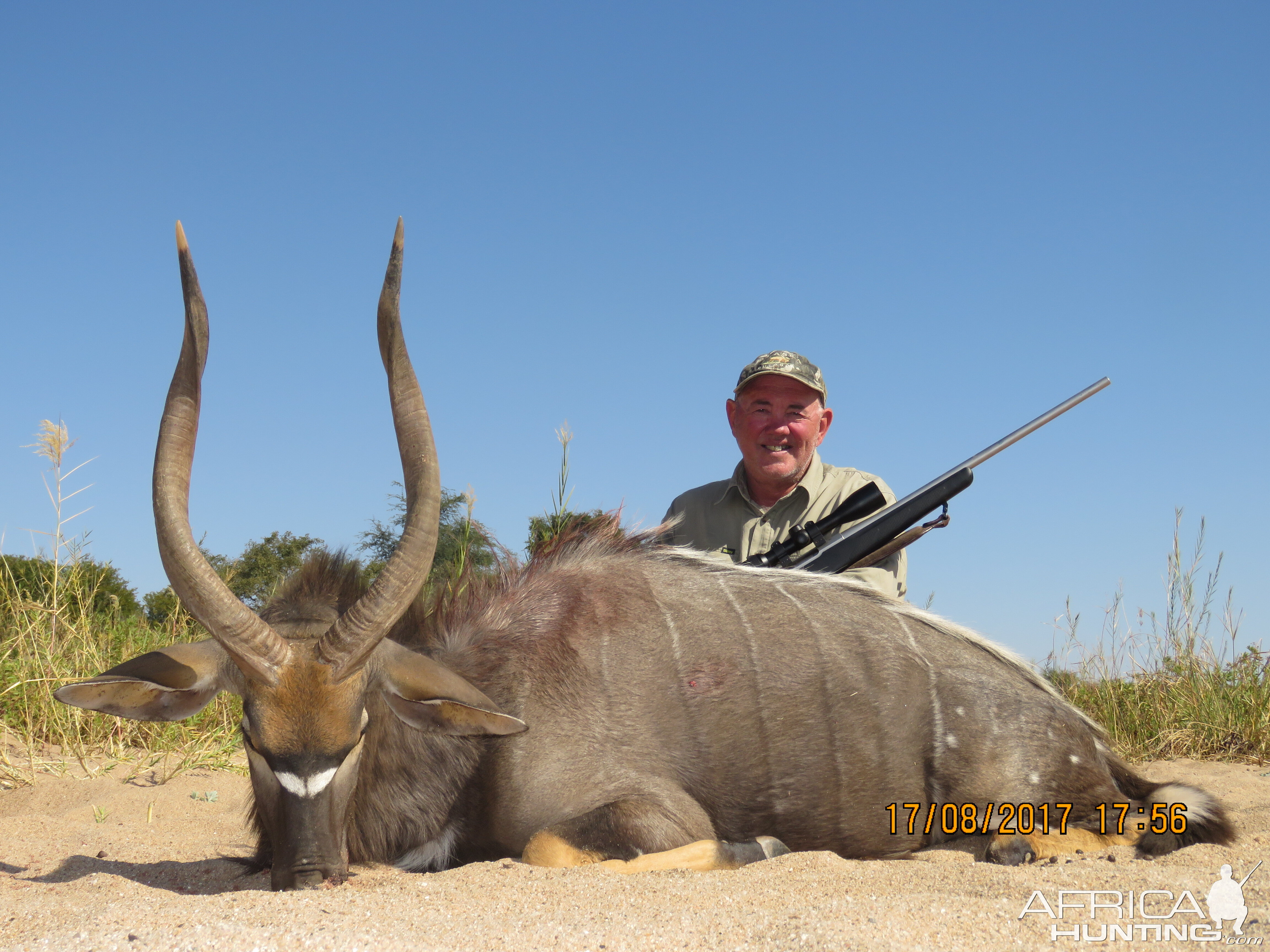 Nyala Hunt South Africa